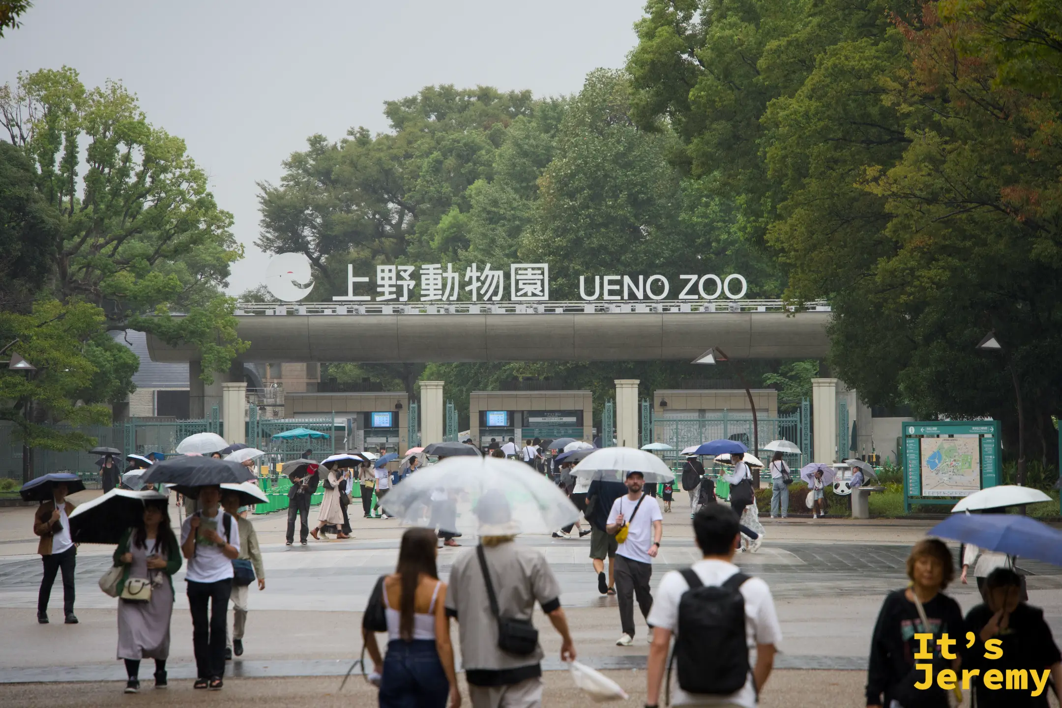 大雨中的上野動物園正門,傘的海洋,沒有人因此少來一個