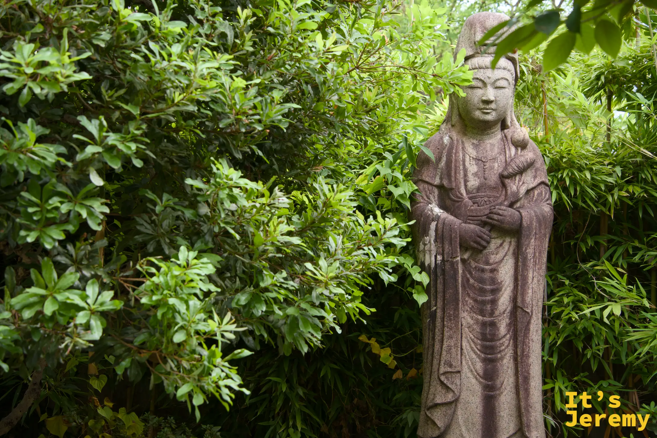 被翠綠植物叢圍繞的石雕菩薩像,石色已深灰,神情靜穆