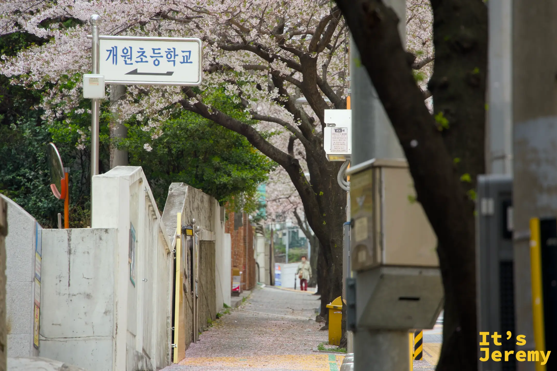 개원초등학교往裡走，這條小路幾乎沒有旅客