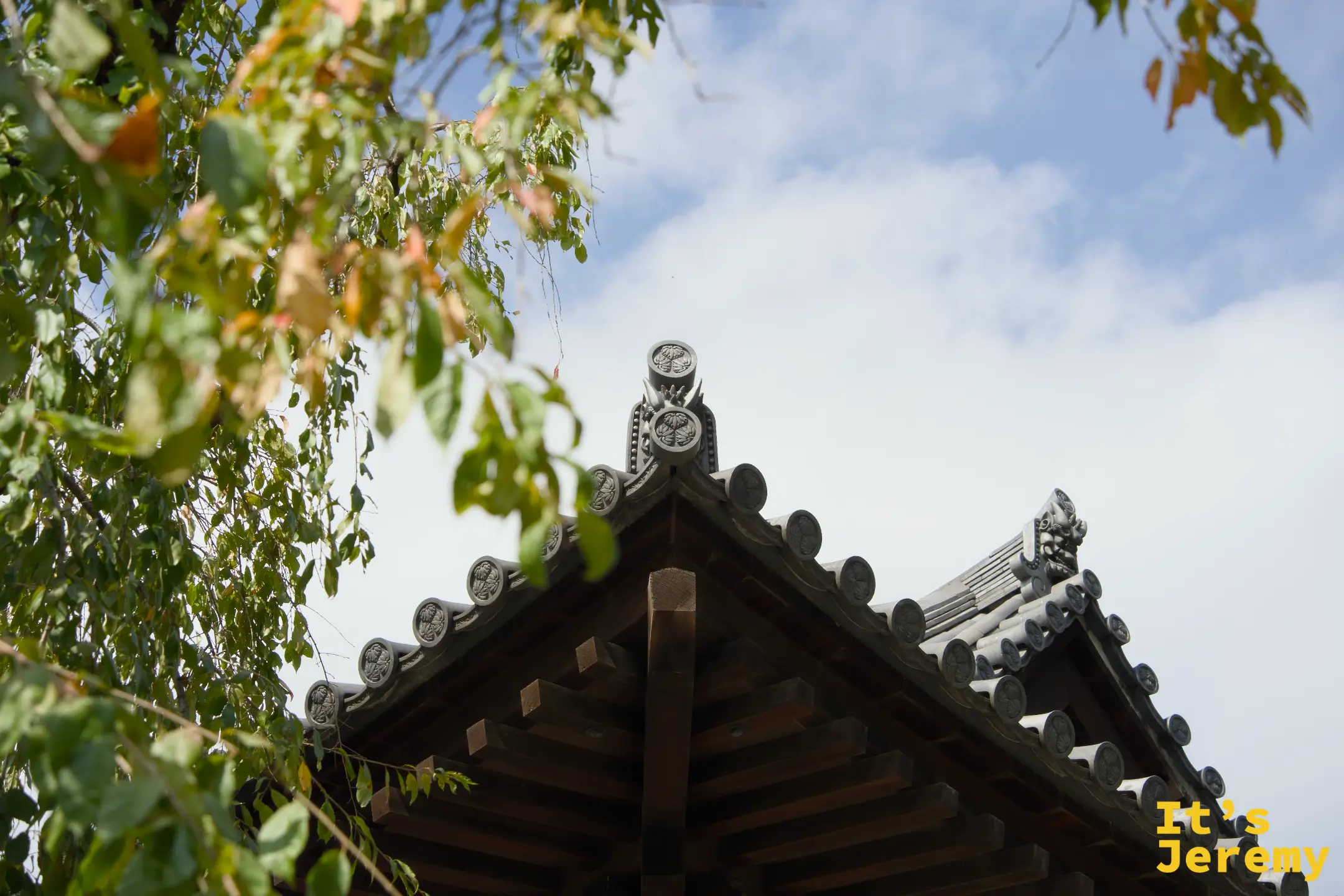 殿堂屋簷特寫,前景有秋日橙黃色葉片,筒瓦紋路清晰