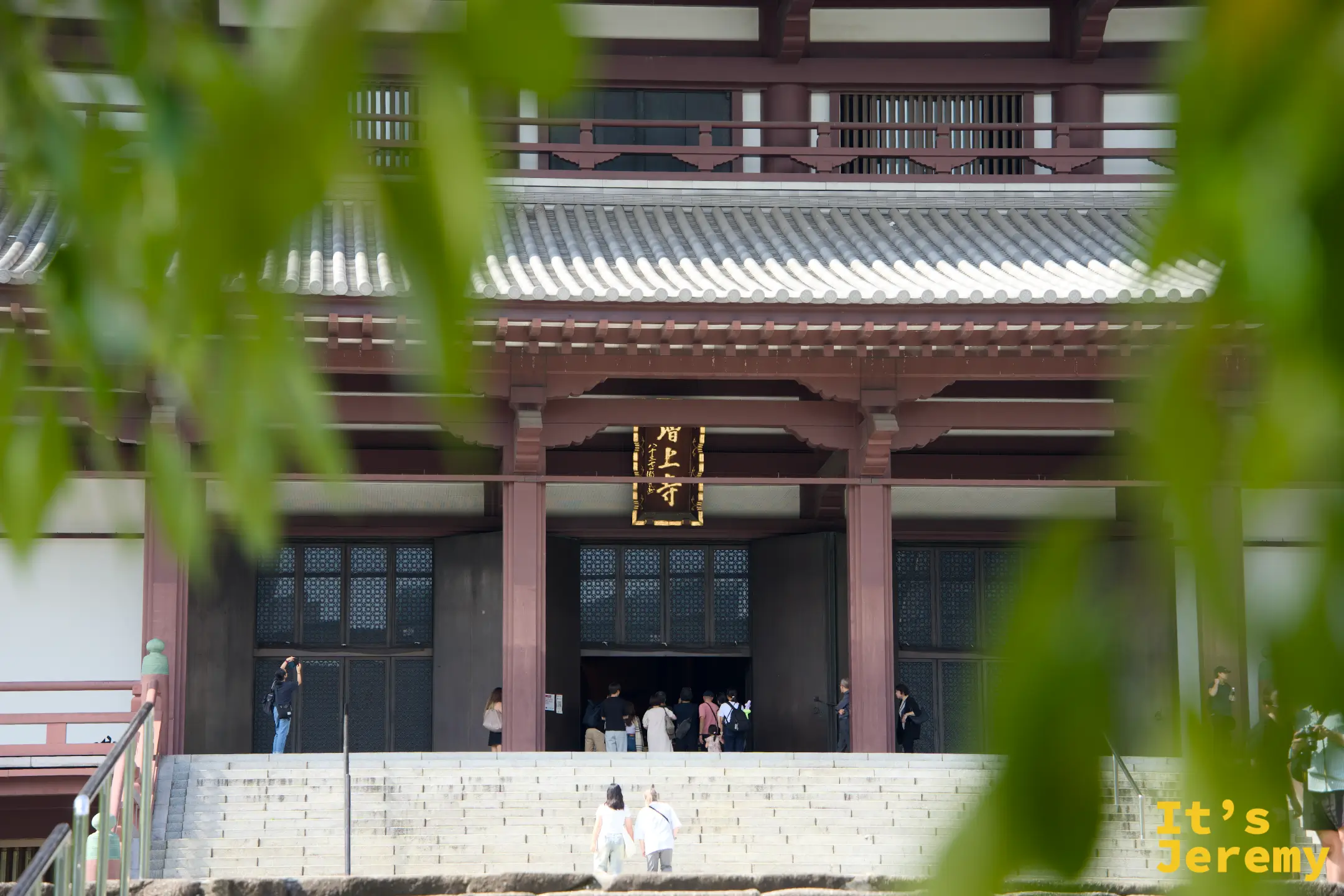 透過柳樹枝葉的縫隙,遠遠望向増上寺大殿正面入口與台階