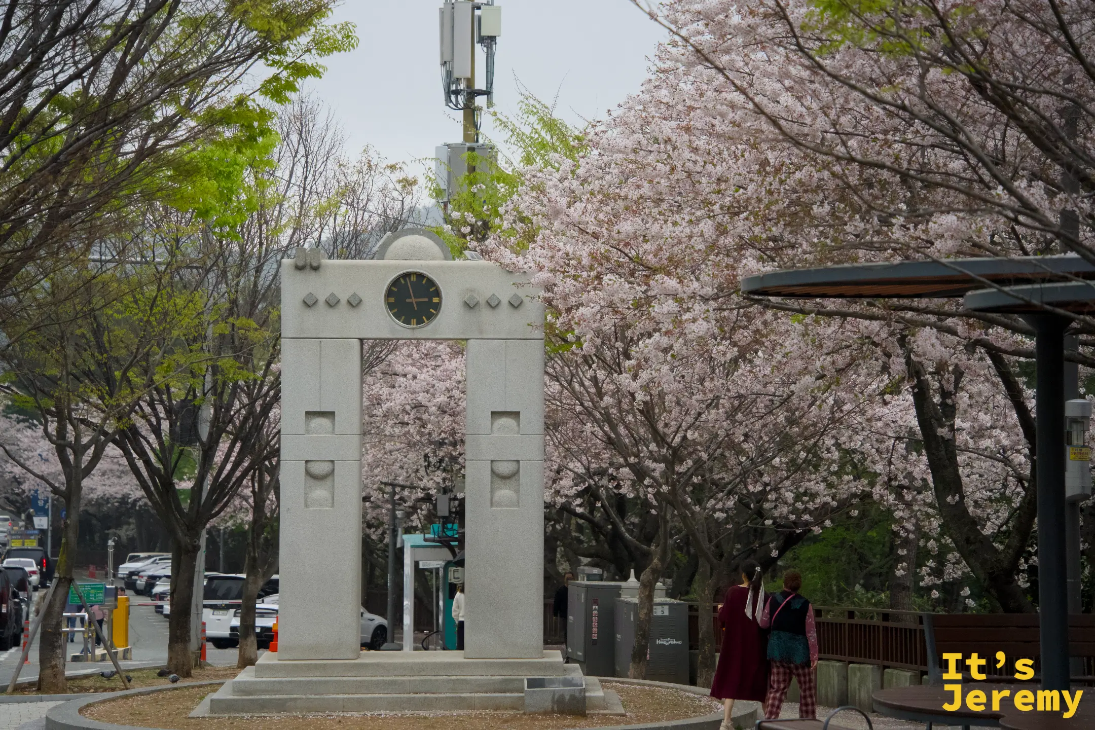石製時鐘拱門矗立於迎月路公園入口，兩側吉野櫻盛開，一名穿著韓服的旅客從拱門前走過