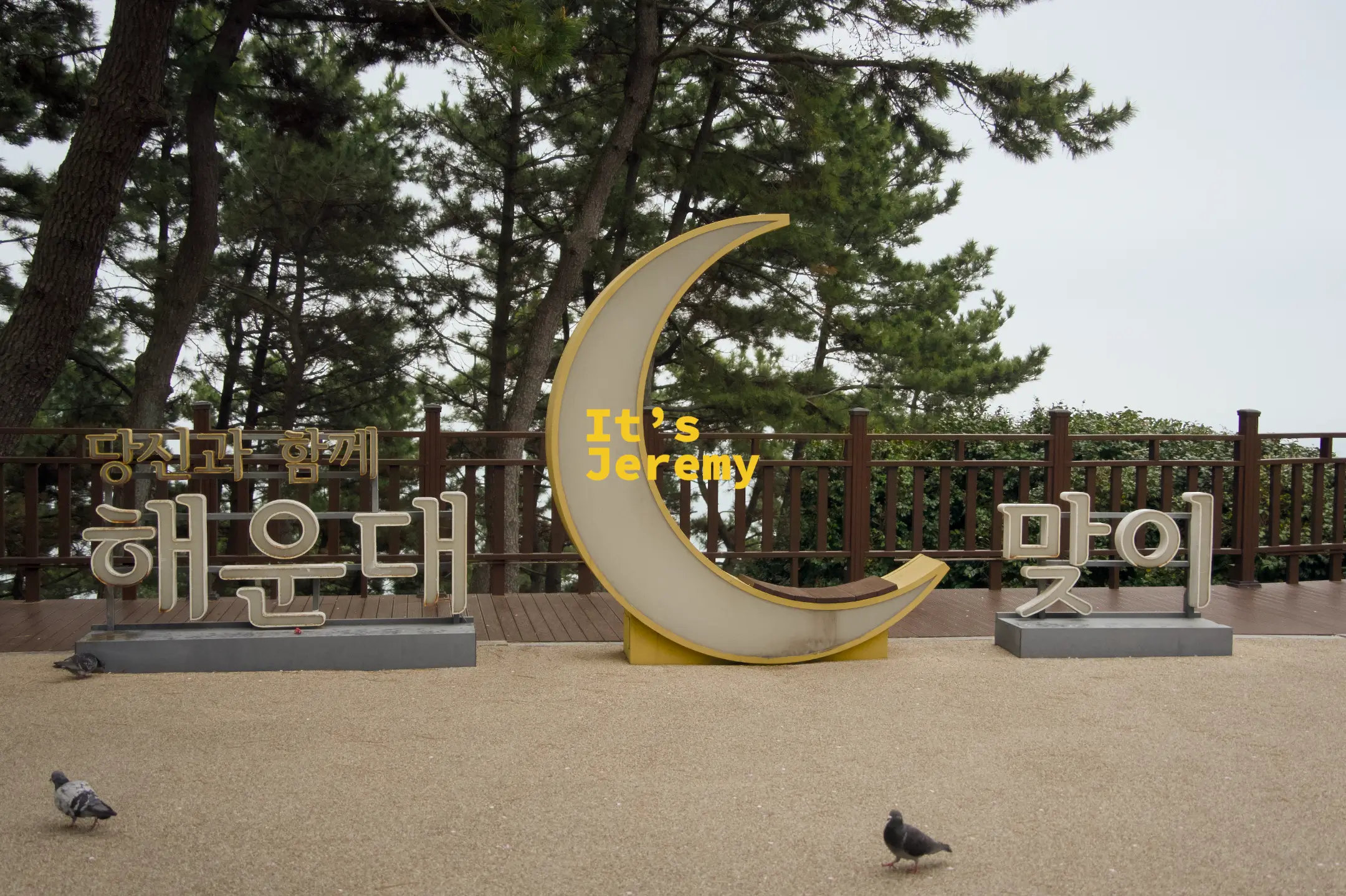 海雲台달맞이迎月路的黃色月牙形地標裝置，兩側寫著「당신과 함께 해운대 맞이」，地面沙粒上站著兩隻鴿子
