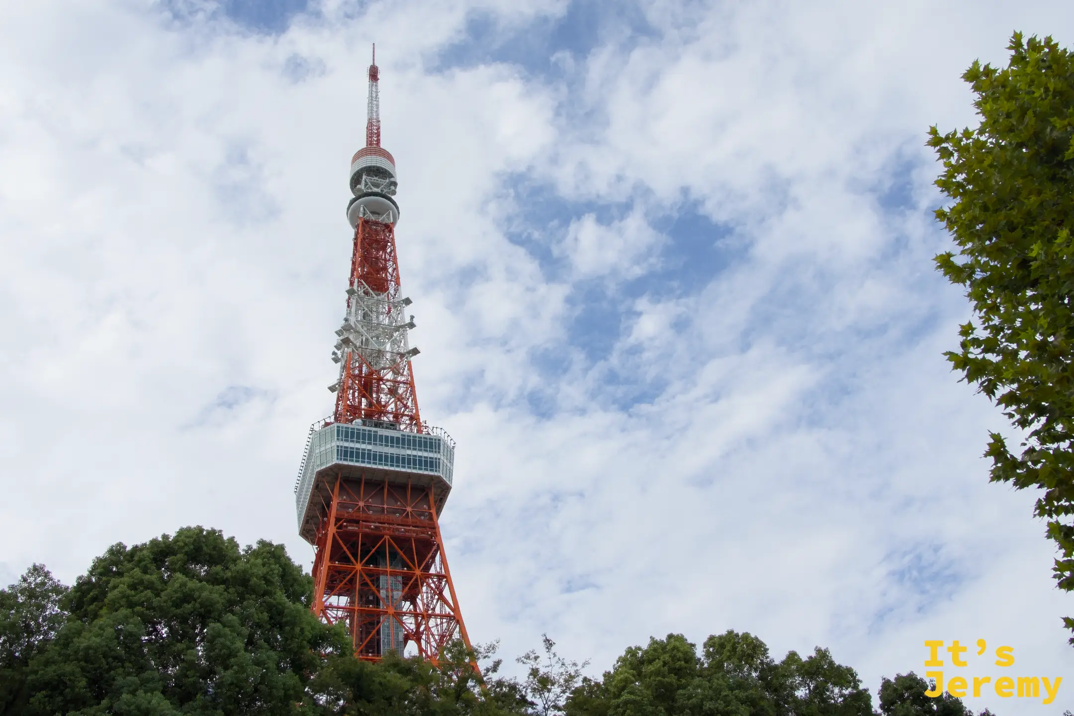 從芝公園另一角度望向東京鐵塔全景,茂密的深綠樹木將鐵塔兩側包圍,大展望台在鐵塔中段清晰可見,藍天與雲朵構成寬闊的背景