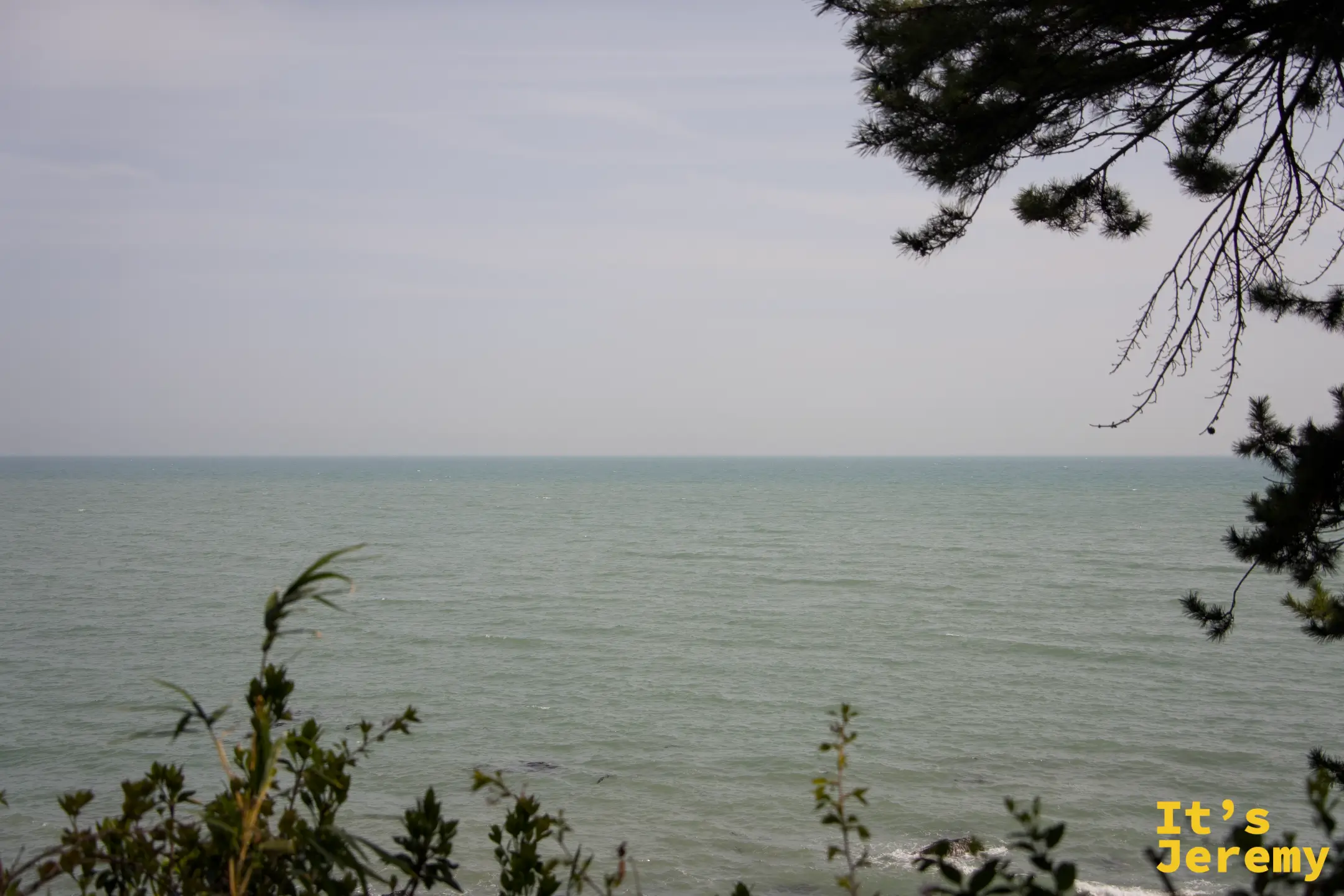 透過松樹枝葉框住的南海海景，水面被映照成淡藍綠色