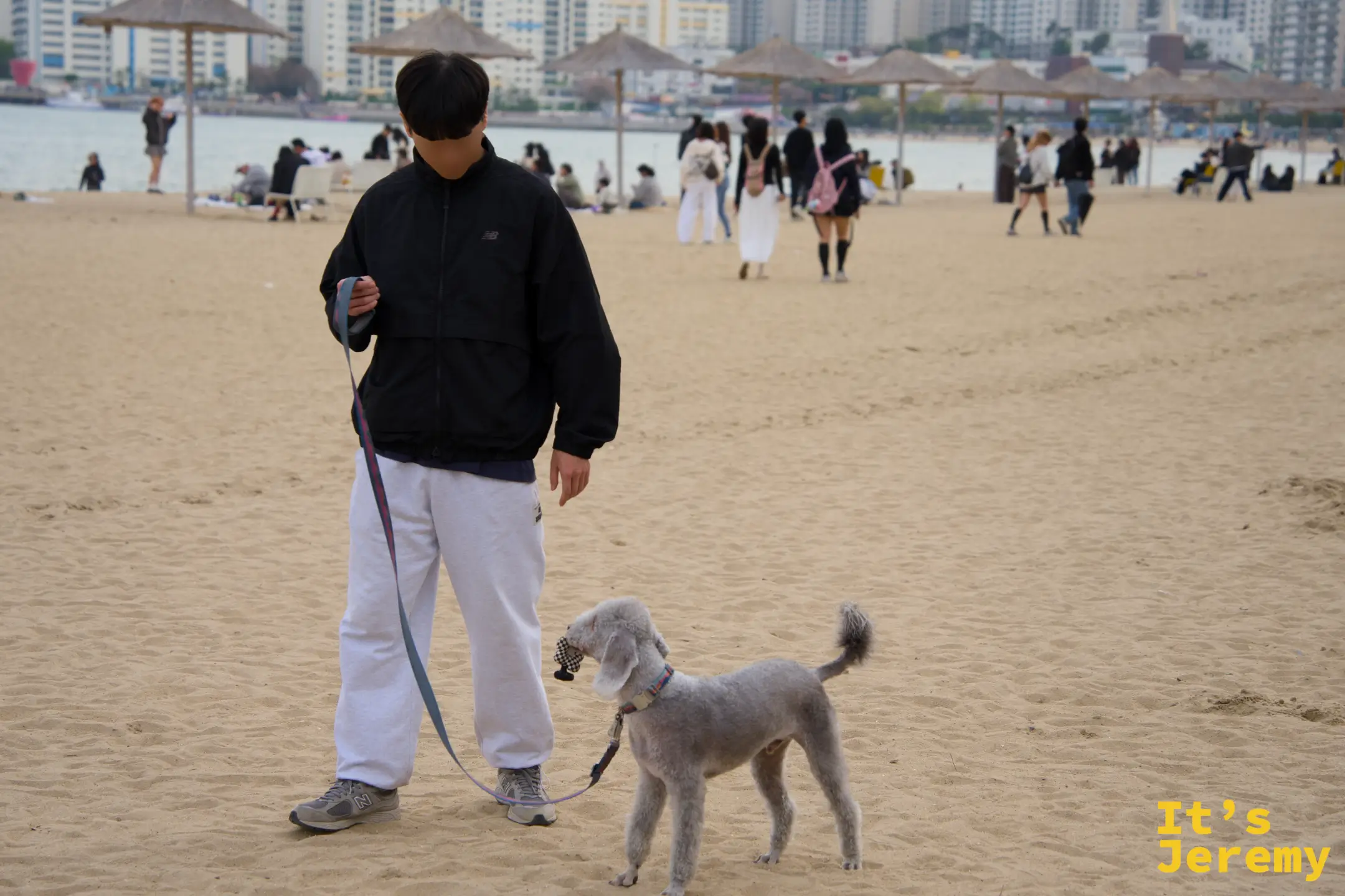 廣安里沙灘的日常：在地人牽著貴賓狗悠閒散步