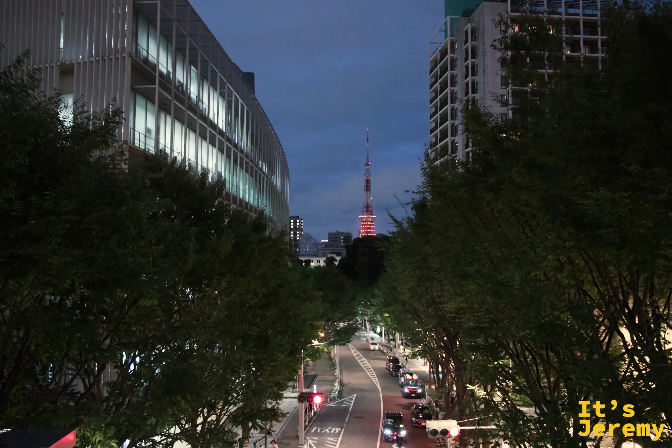 麻布台之丘附近的街道夜景,兩排行道樹之間,街道盡頭隱約可見東京鐵塔橘紅色的下半段