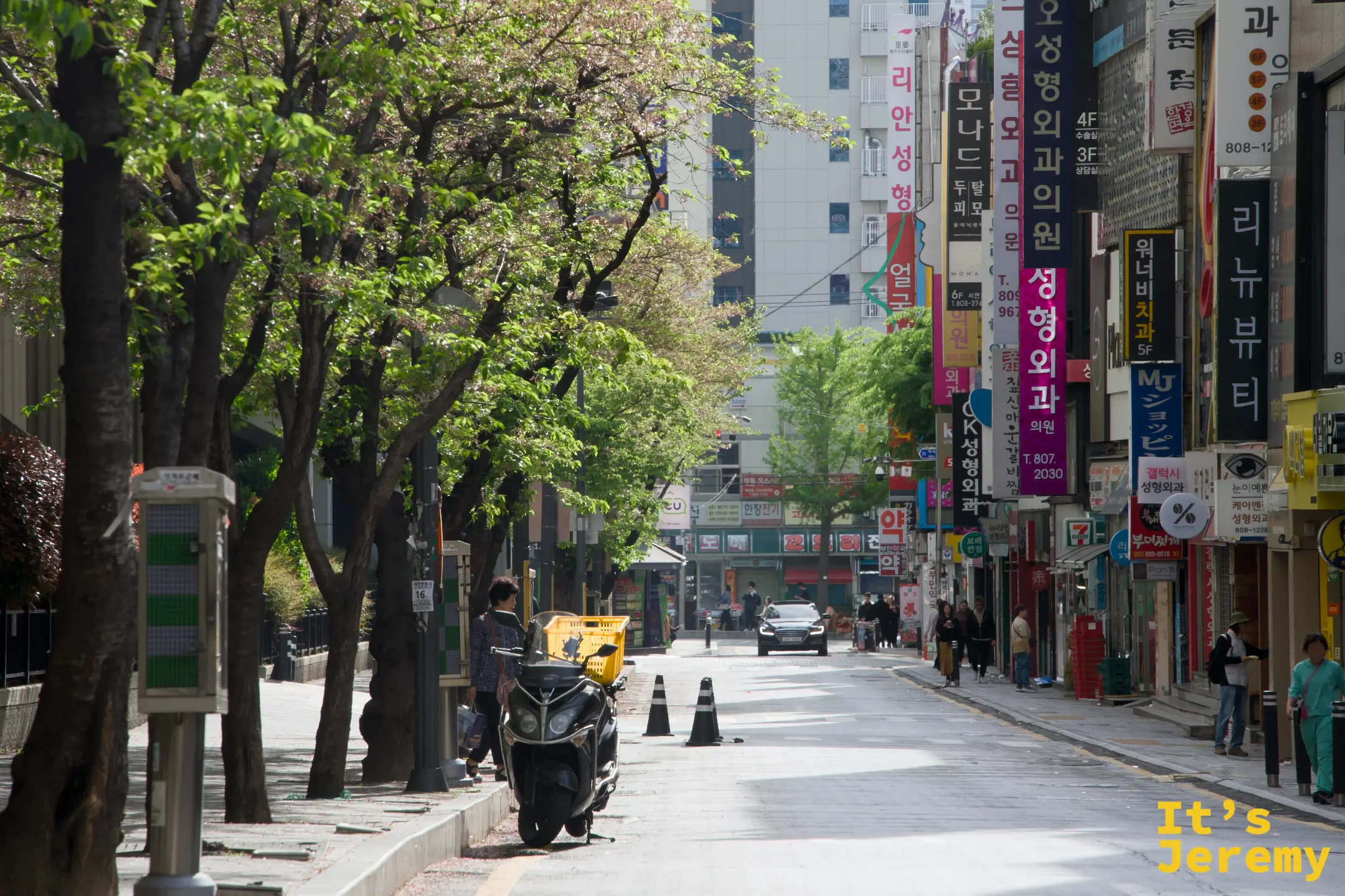 서면街道春景，行道樹剛冒新芽，早晨的慵懶感從這條路開始
