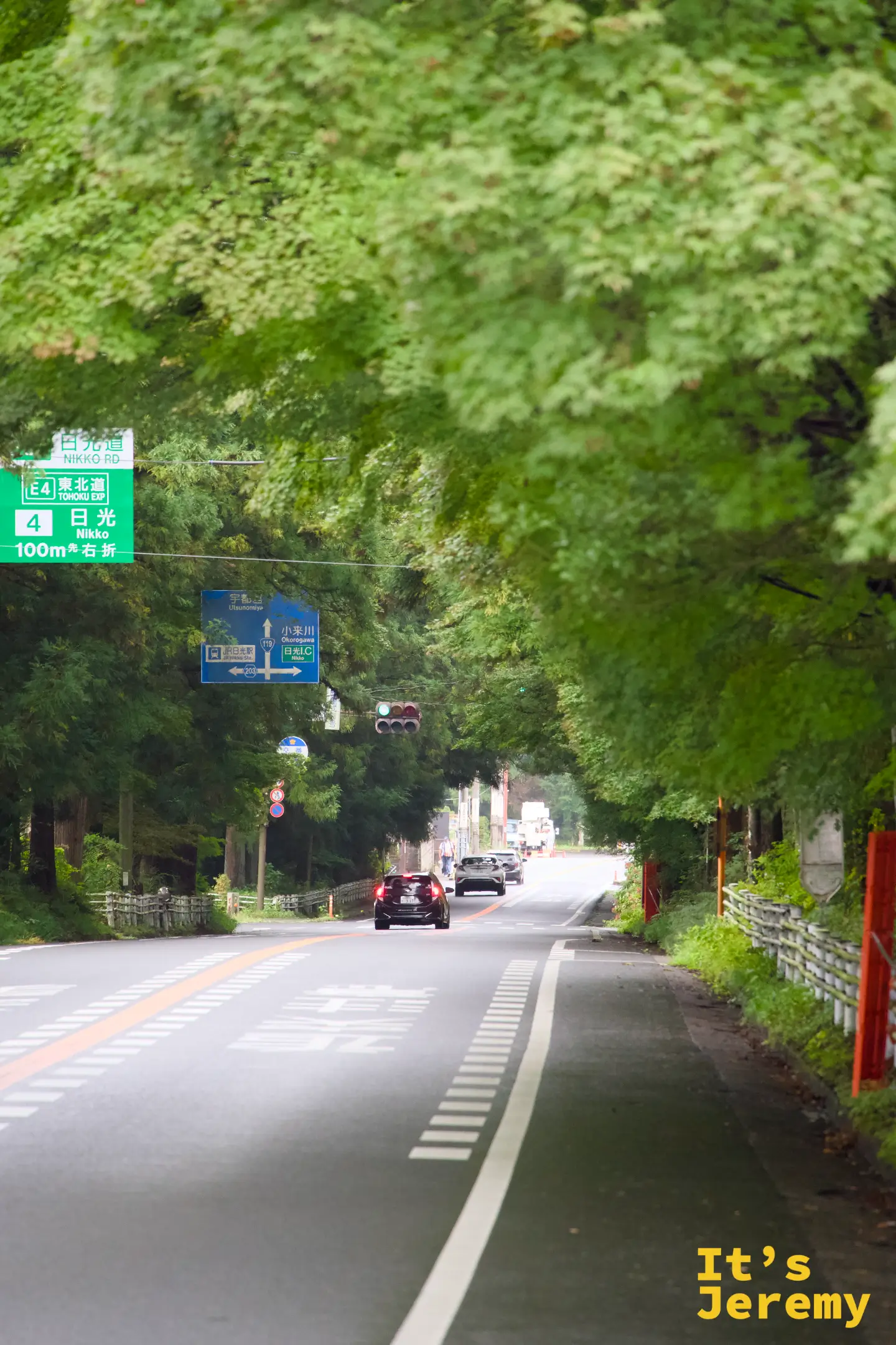 日光道路指示牌「NIKKO RD / 東北道 / 日光」，兩側杉木高聳