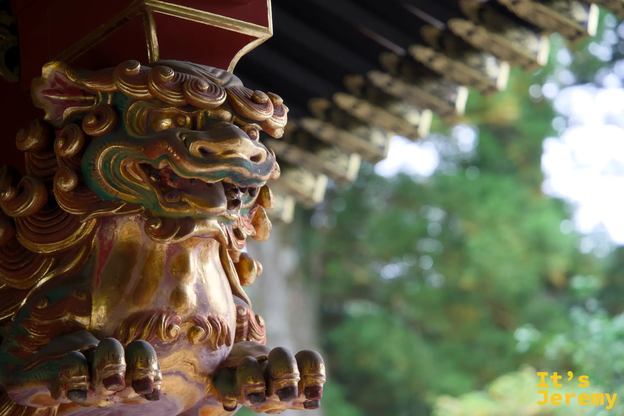 棕金色的唐獅子從紅色柱間探出，爪子清晰，後方是散景的杉木林