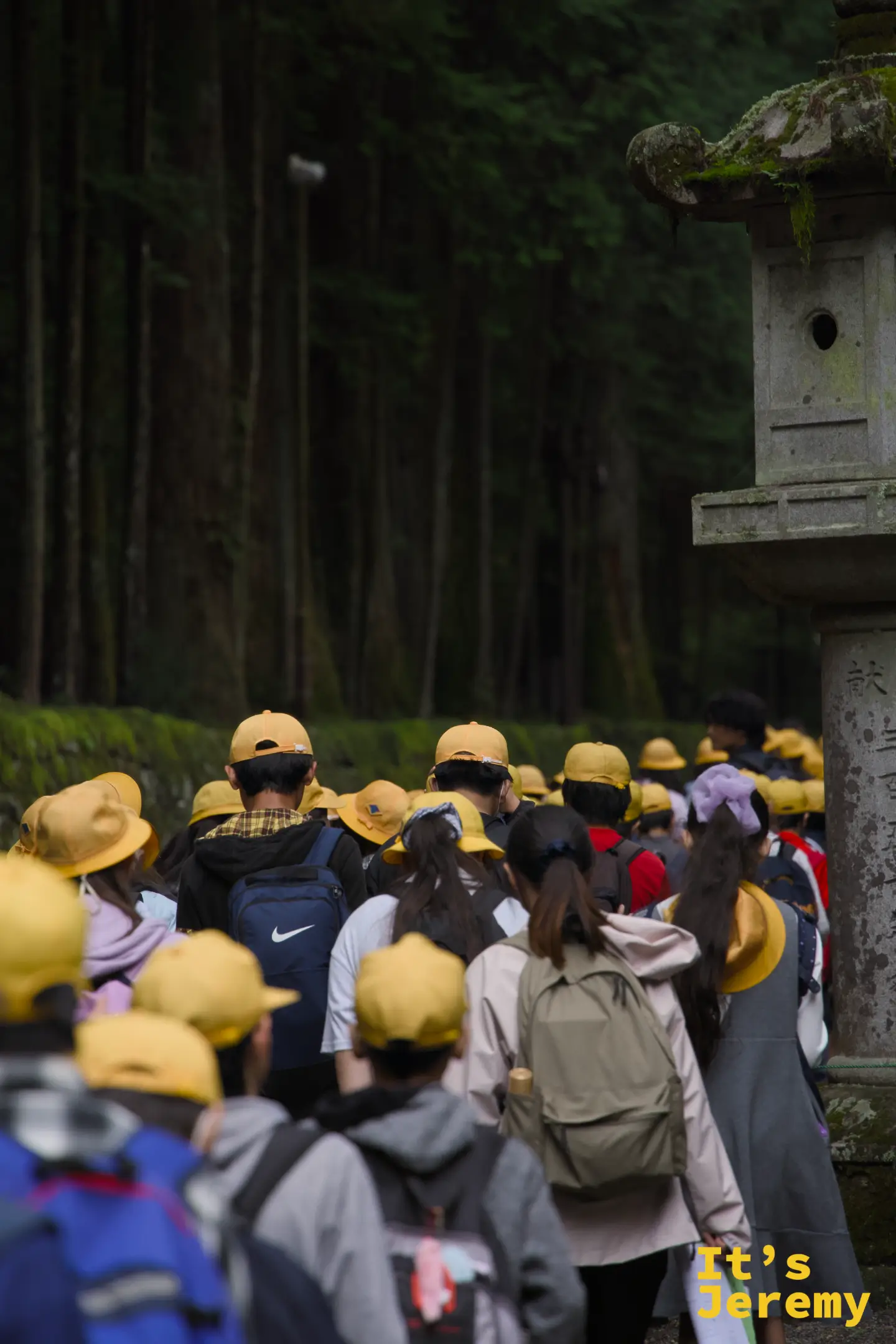 東照宮參道入口，大群戴黃帽學生排隊入內，兩側杉木和石燈籠