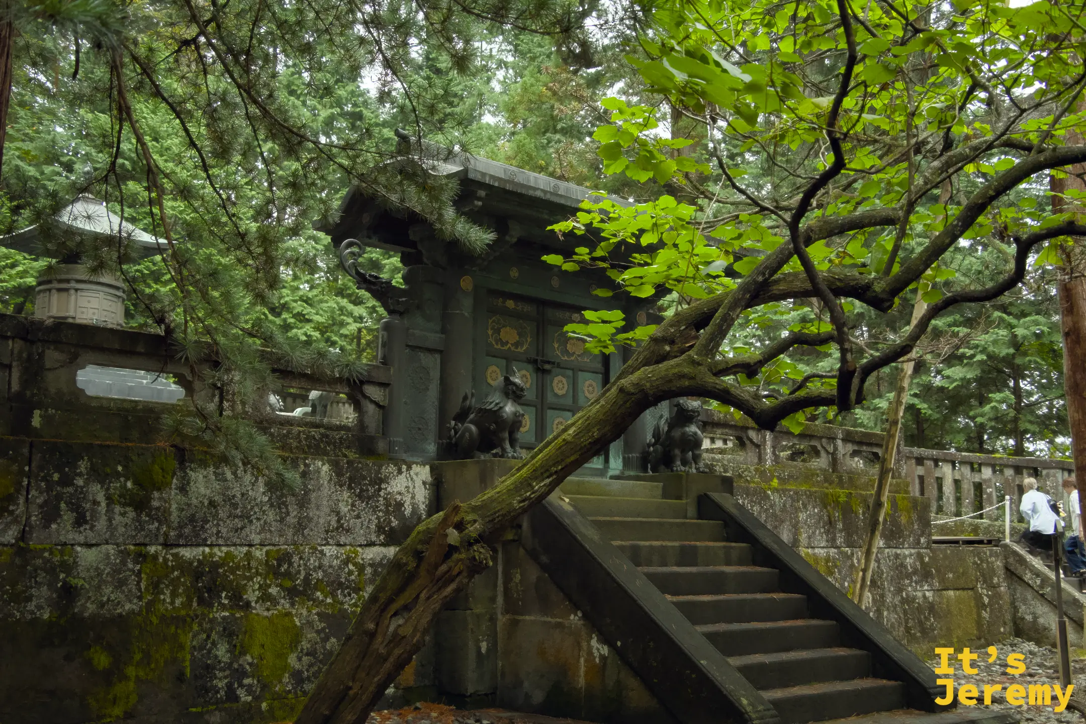 奧社境內石造建築，黑色屋頂，樹木枝條伸入鏡頭，石階和石牆上有青苔，氣氛幽靜