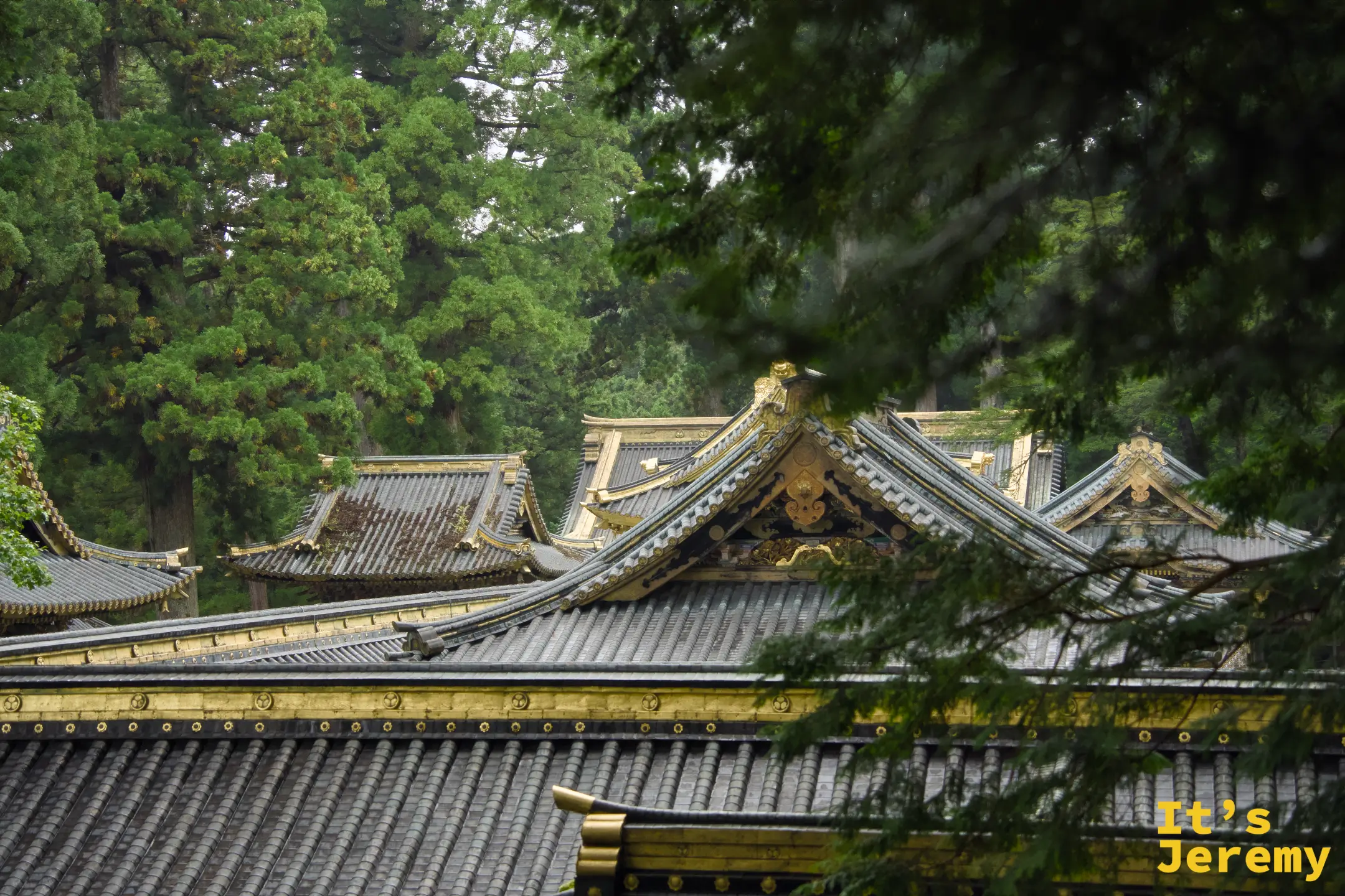 從高處往下俯瞰東照宮屋頂群，多層金色屋脊與深色瓦片在杉林間錯落