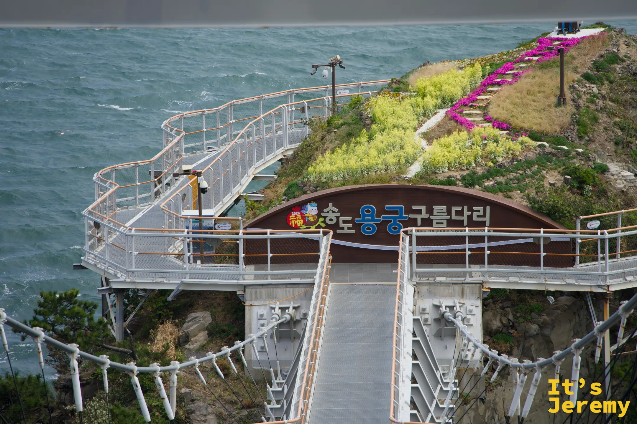松島龍宮雲橋入口拱門與沿海崖的吊橋步道，山坡上開滿黃色與紫色花海