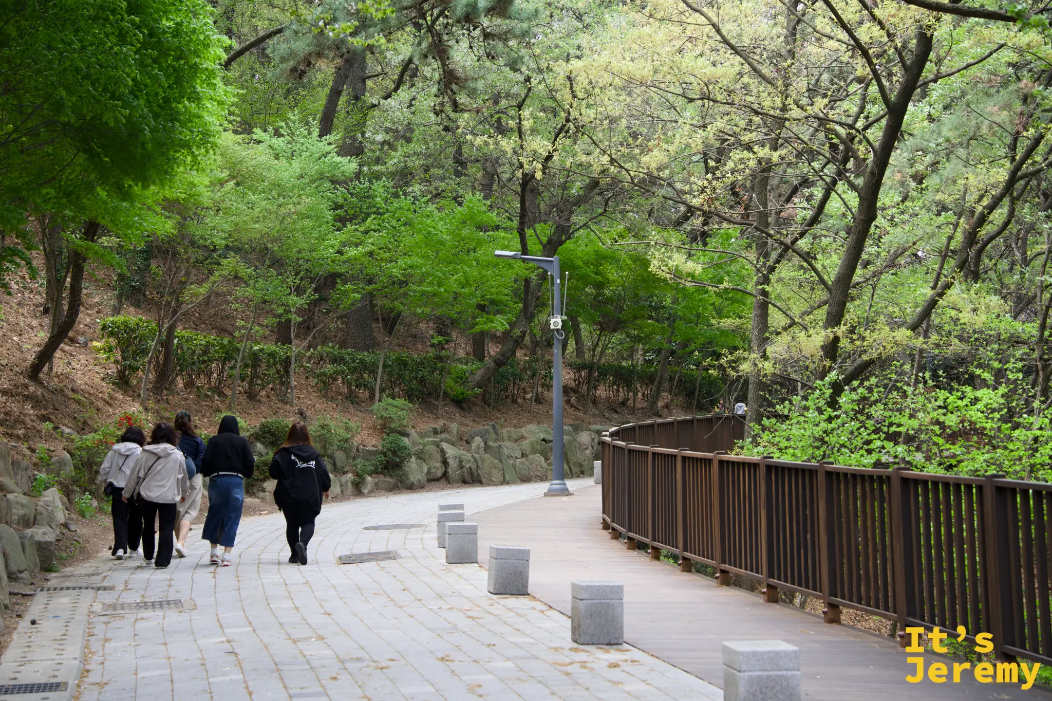 幾位遊客沿著岩南公園的林間石板步道往上走