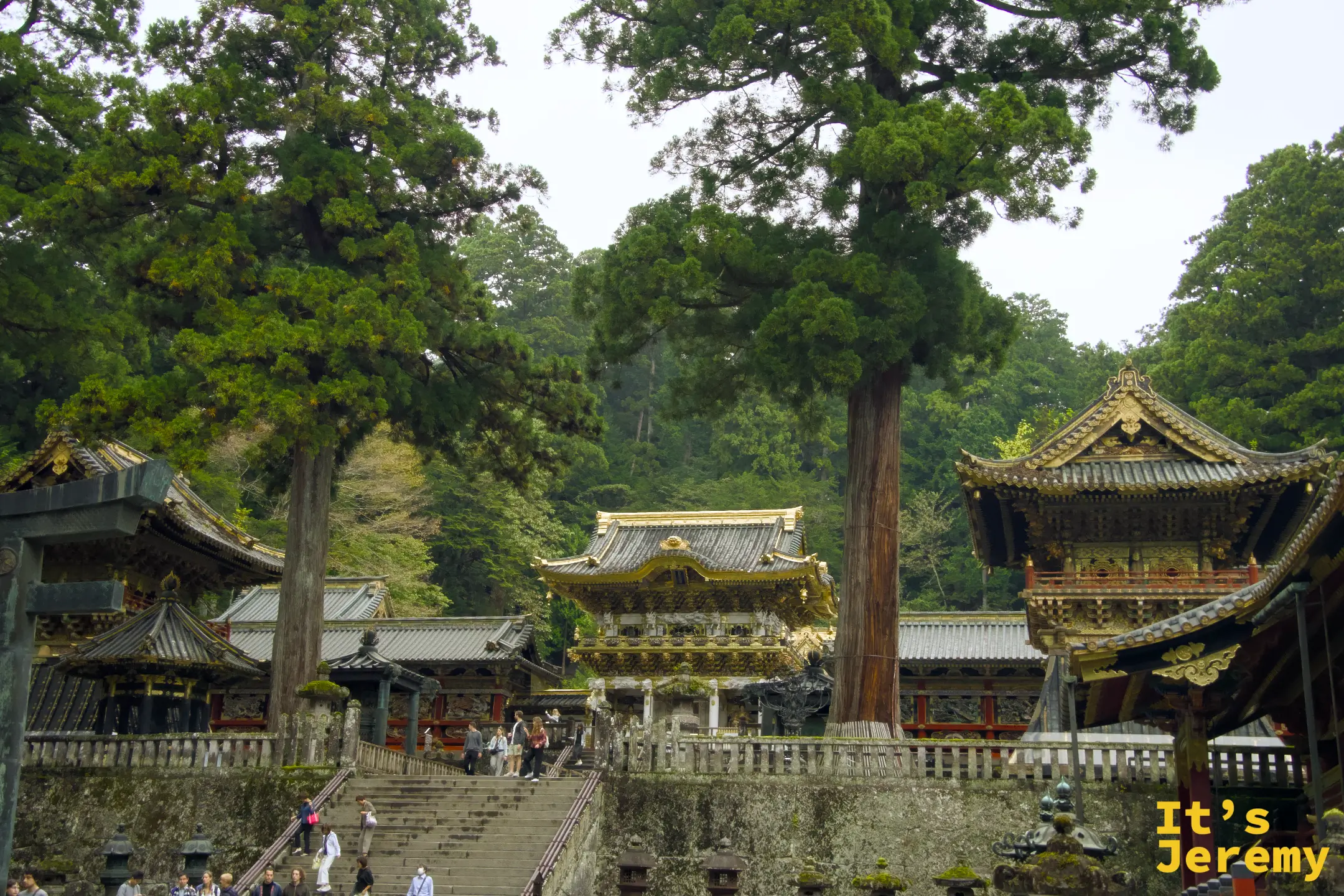 從林間台階回望，可以看見東照宮各棟建築的金色屋脊在杉林之間錯落