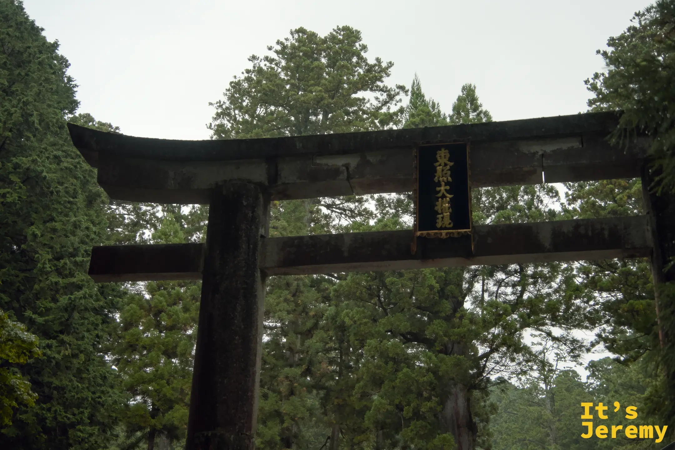石造一之鳥居矗立於參道入口，橫樑上嵌著「東照大権現」金字牌匾，覆著青苔