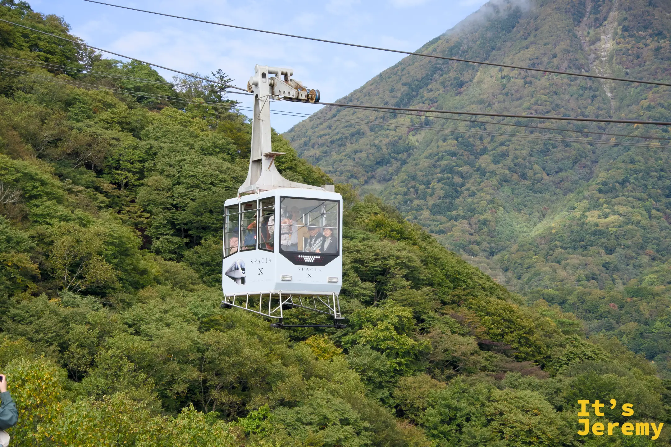 纜車車廂橫越山坡，兩側是綠意盎然的樹海