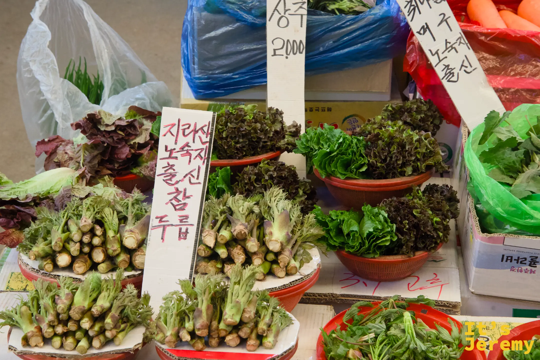 蔬菜攤近景,生菜、野菜種類豐富,整齊擺放在臉盆裡