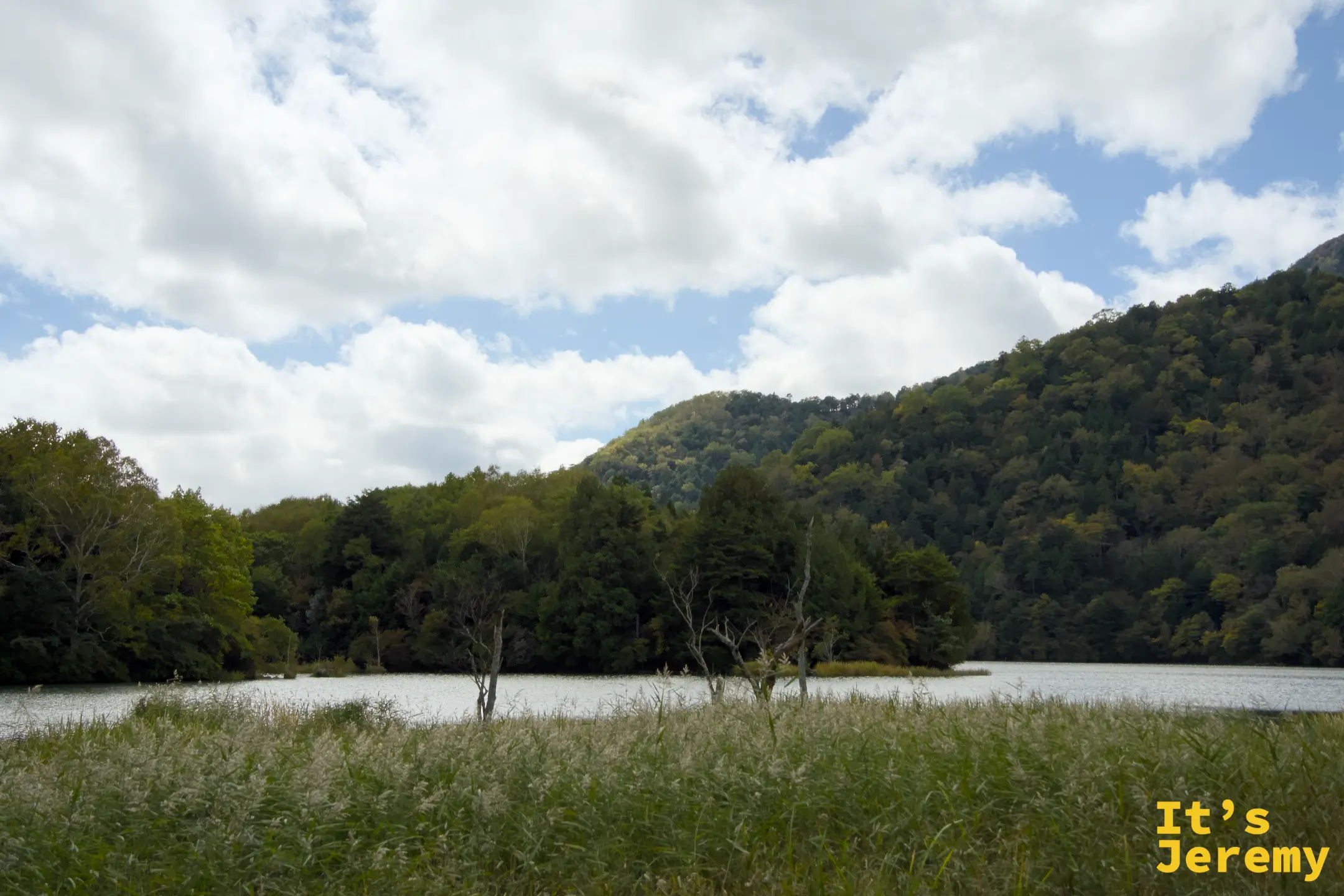 湯之湖湖畔的蘆葦草叢與遠山，初秋色彩剛開始在山頂蔓延