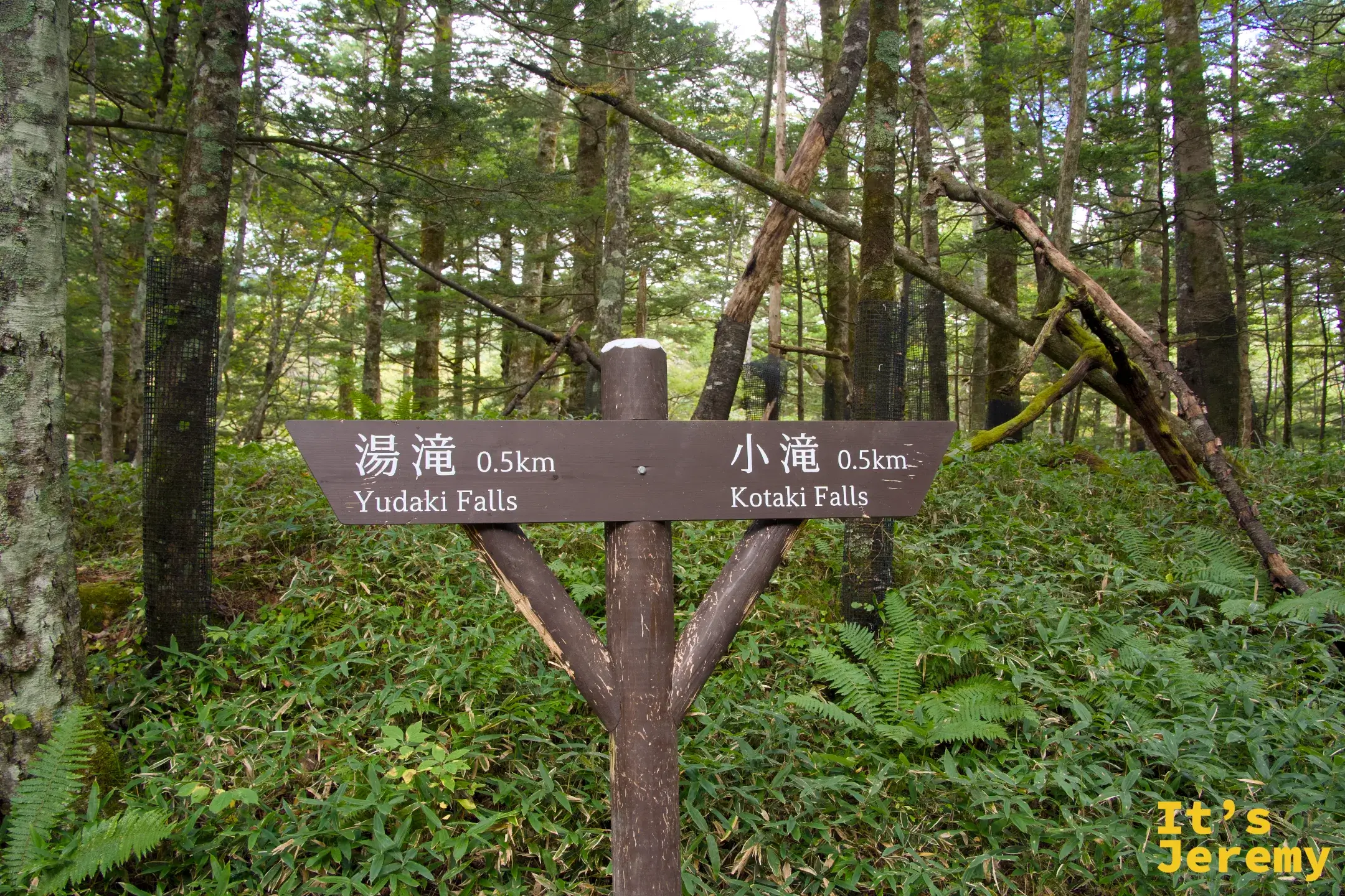 步道叉口指示牌，左指湯滝 0.5km，右指小滝 Kotaki Falls 0.5km
