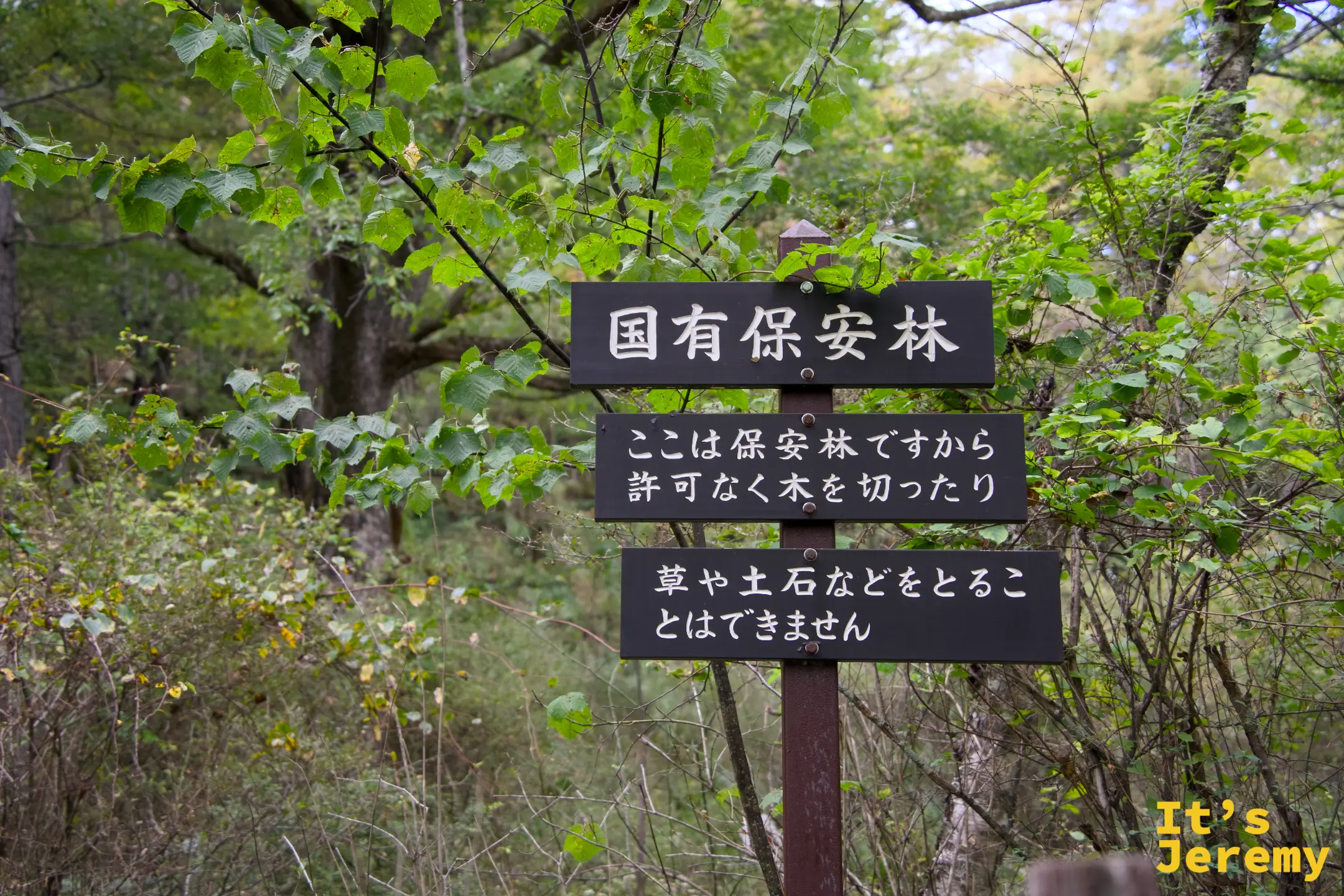 国有保安林標示牌，說明此區受法律保護