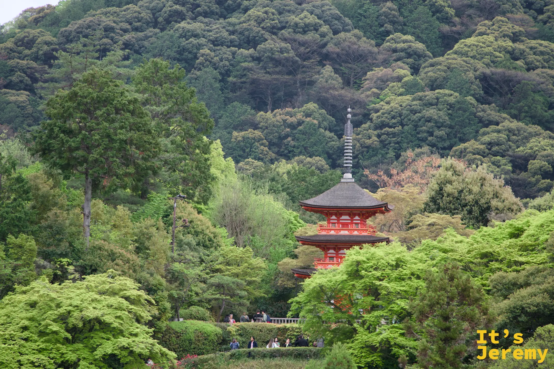 從遠處望見的子安塔，在山林中若隱若現