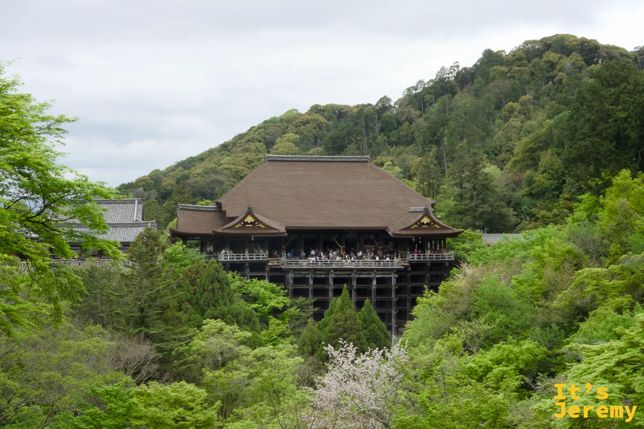 清水舞台更遠景，建築群隱入東山綠意
