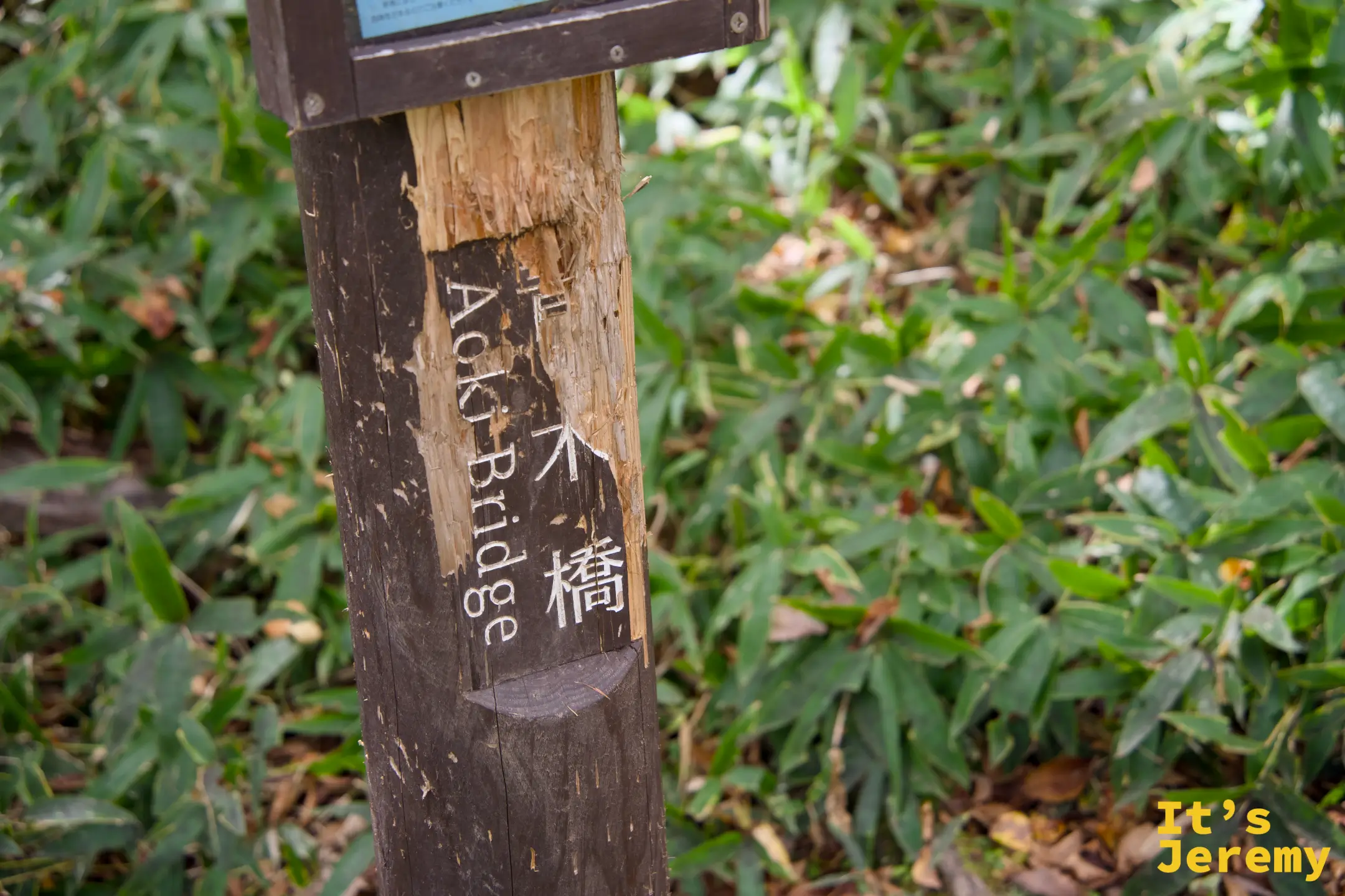 「青木橋 Aoki Bridge」標示柱，背景是綠色地被植物