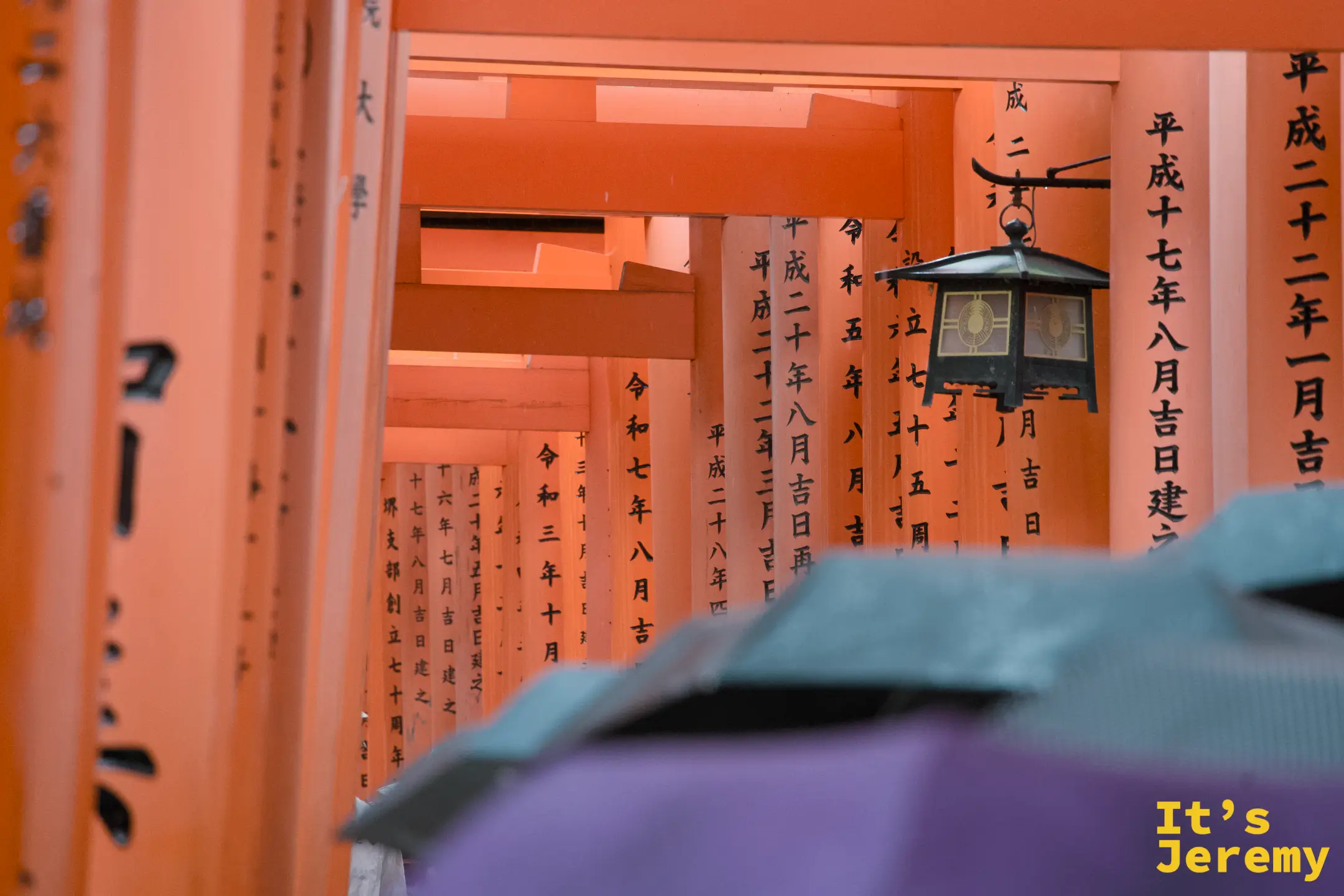 千本鳥居內，燈籠懸掛在鳥居之間，日文字跡刻在柱面上