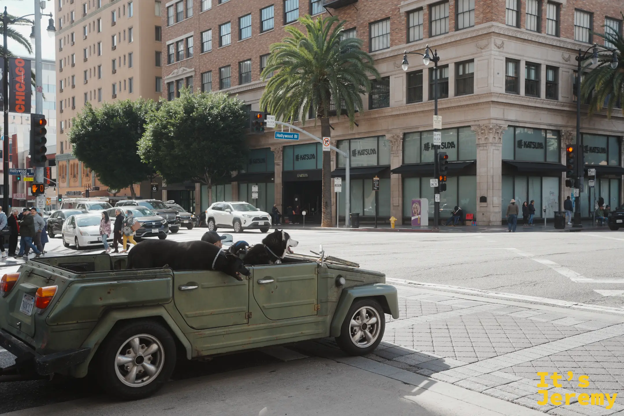 軍綠色 VW Thing 敞篷車後座載著三隻探頭看街景的狗
