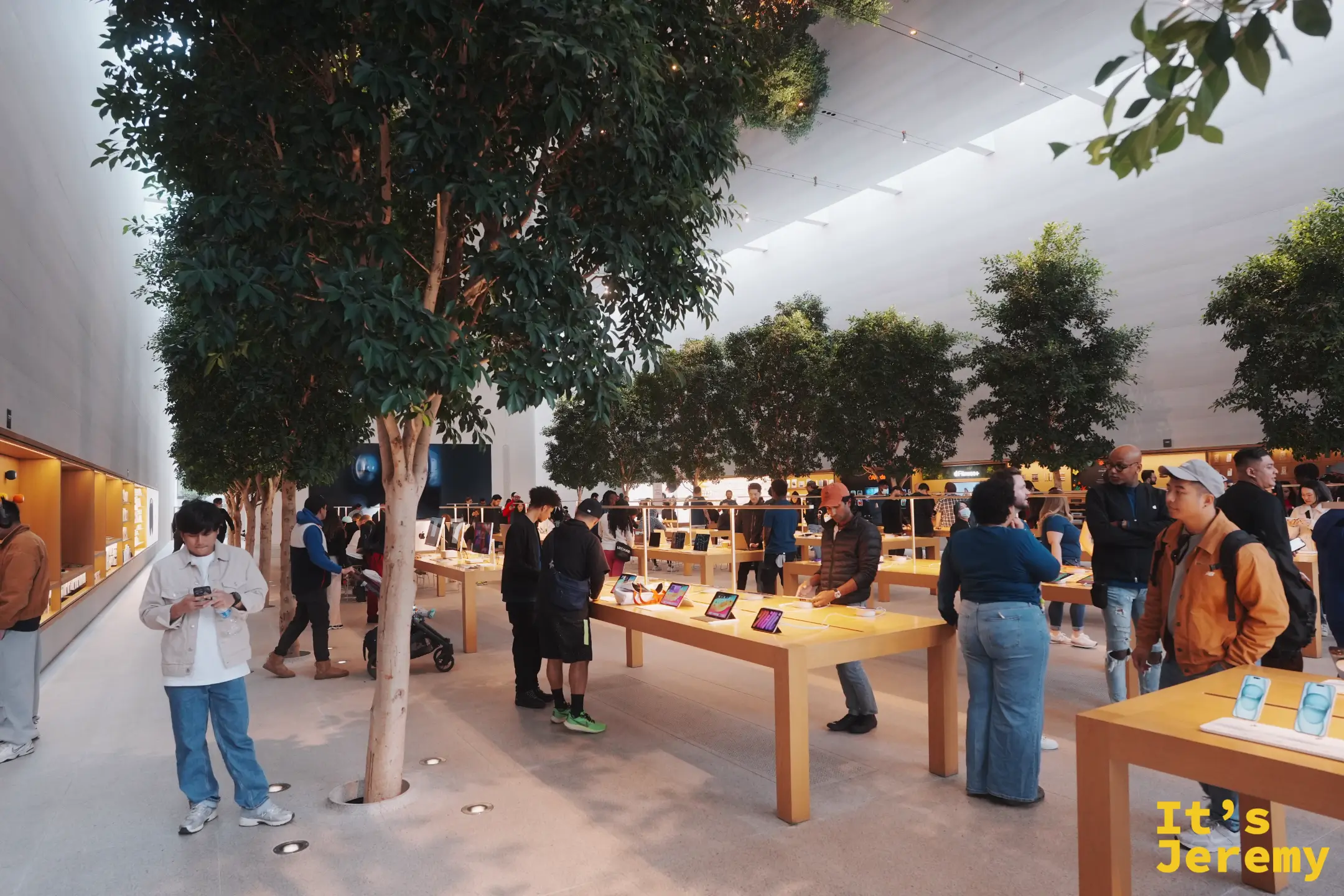 The Grove 內種著真樹的 Apple Store，原木長桌與挑高綠意空間