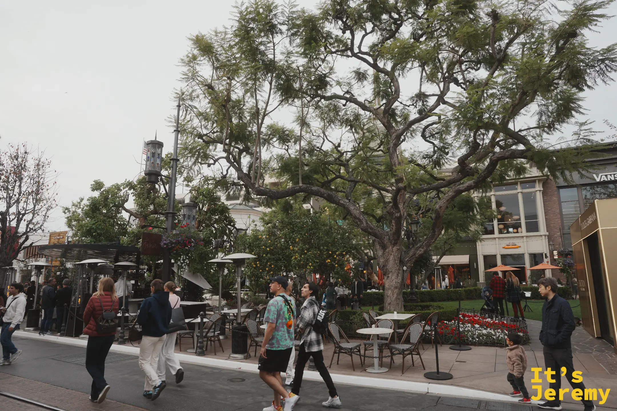 The Grove 主街上的大樹、露天座位與往來人潮