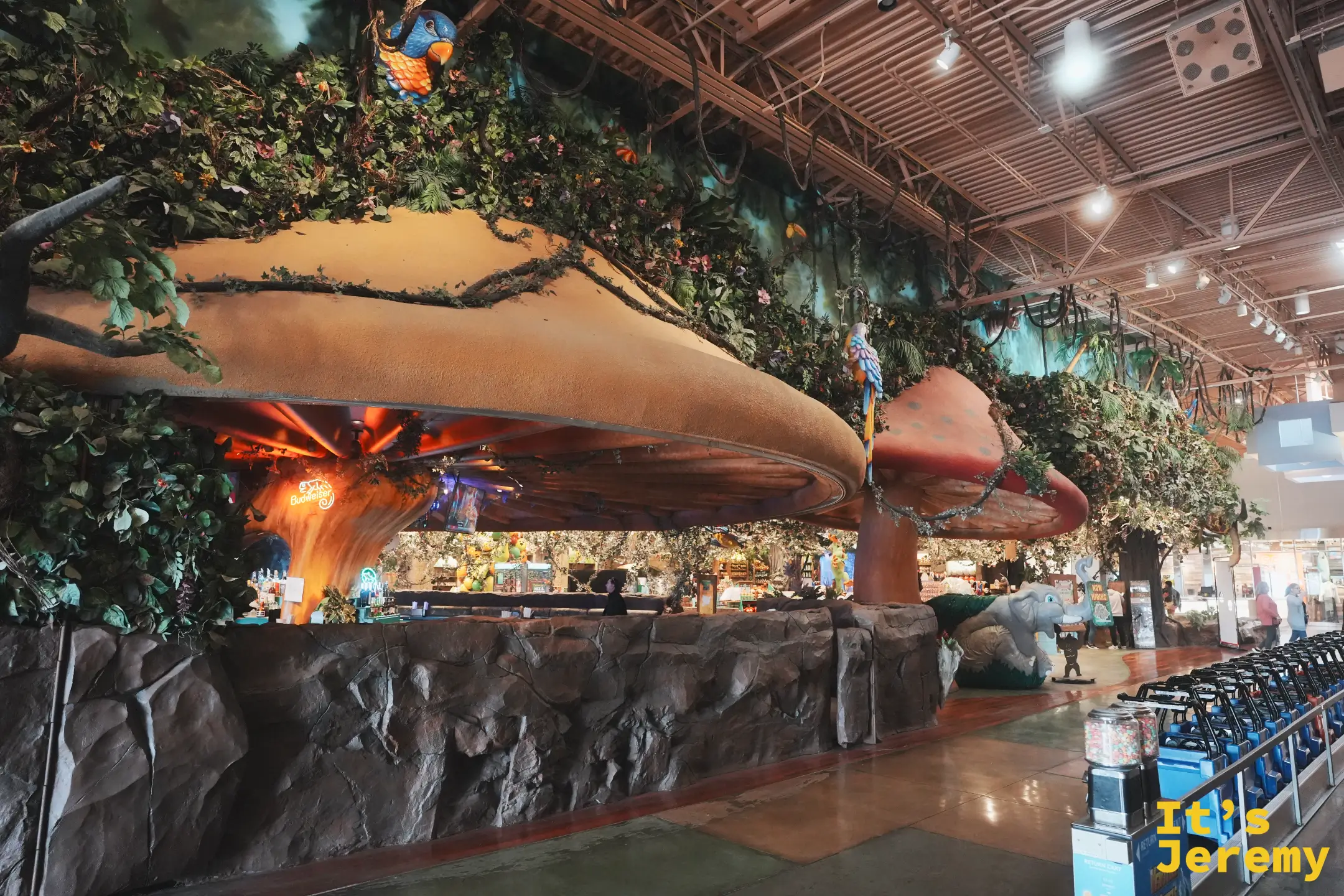 Rainforest Cafe 室內巨大的蘑菇傘吧台、垂下的綠藤與棲息枝頭的鸚鵡