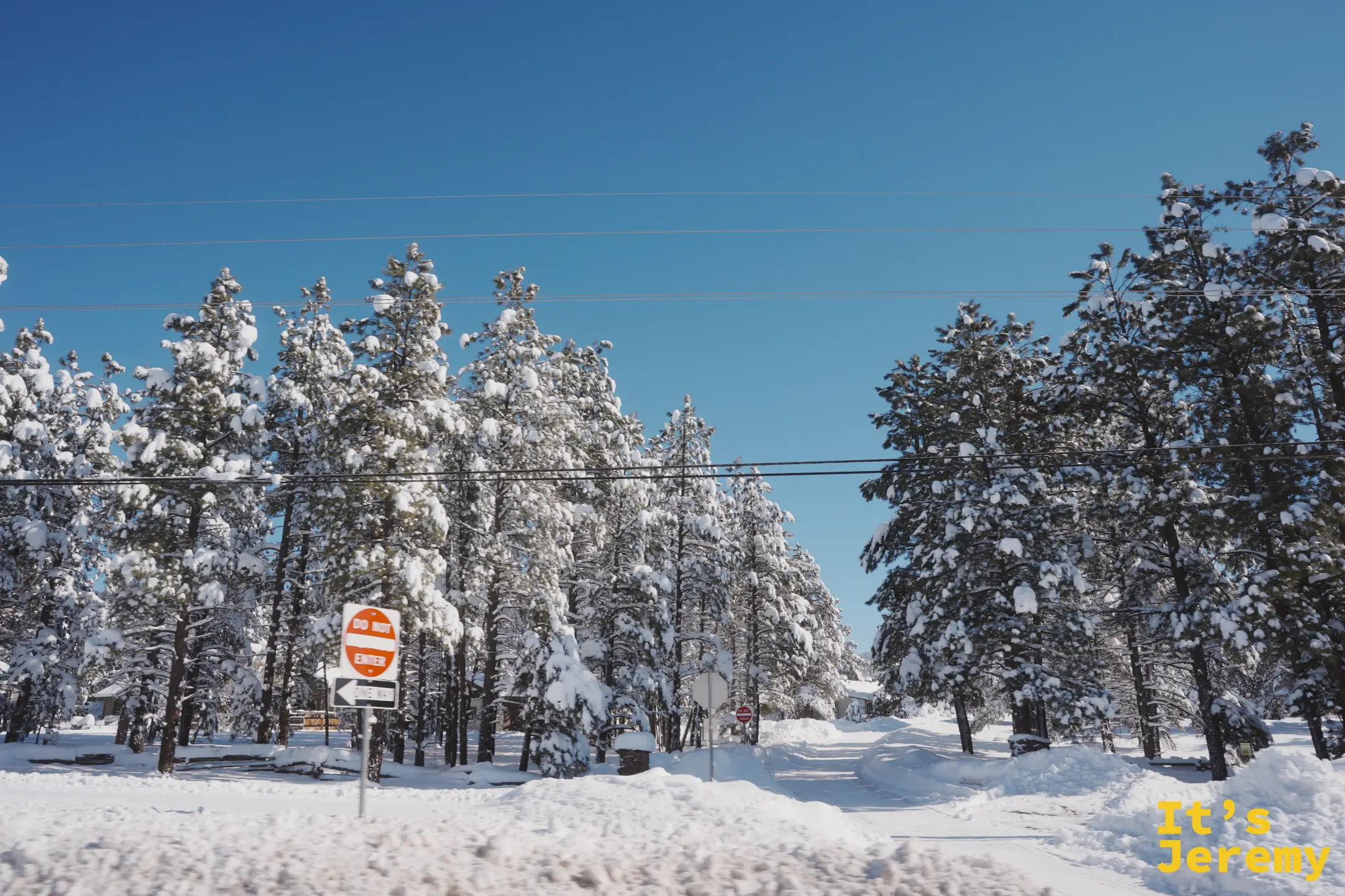 路口高大的松樹被雪壓彎，DO NOT ENTER 與 ONE WAY 號誌立在雪堆旁，藍天下一片雪白