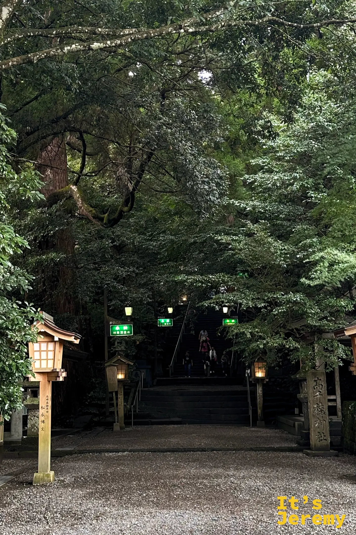 高千穂神社參道入口的石階，兩側木燈籠亮著暖光，右側立著神社石碑