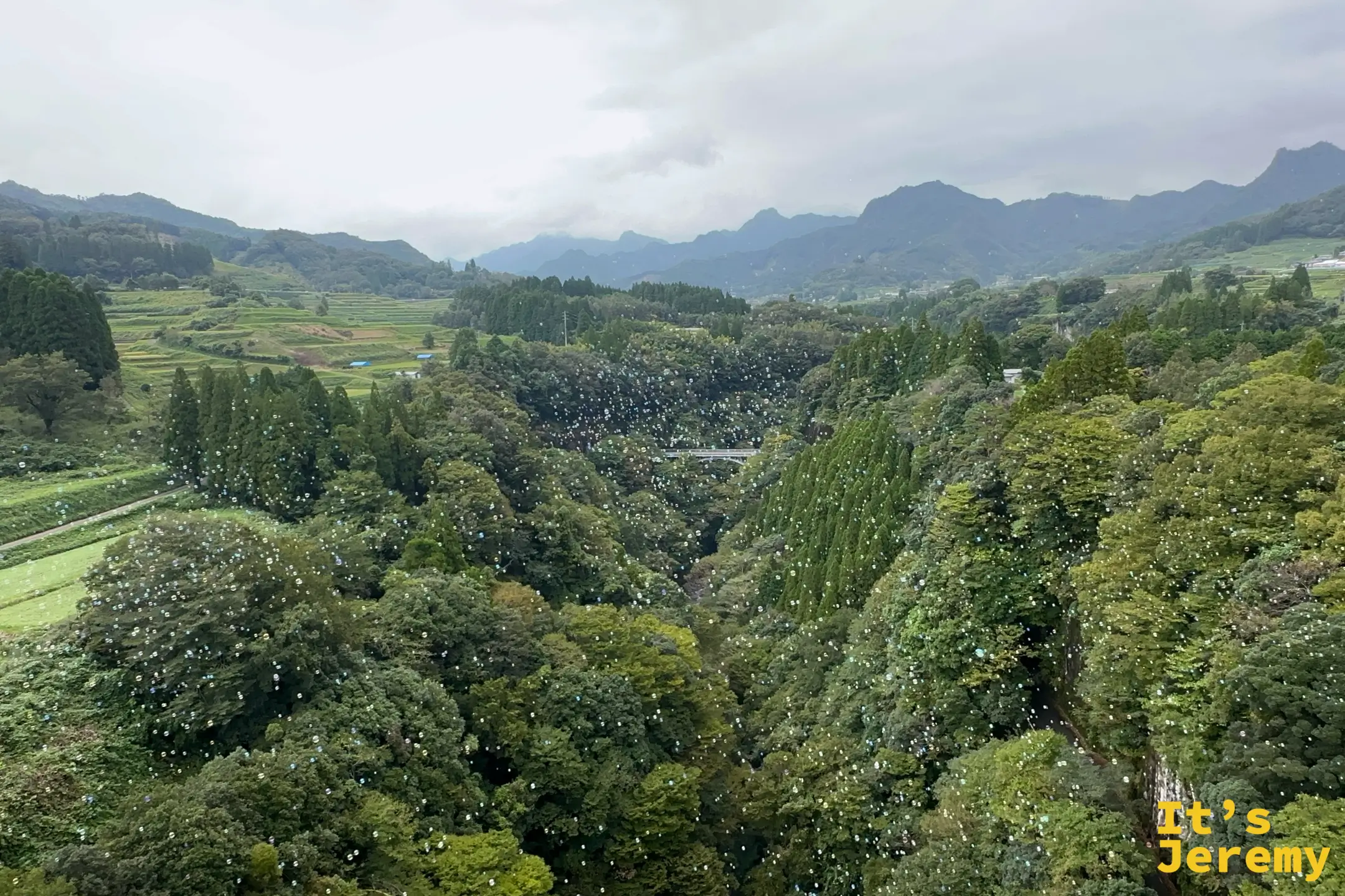 敞篷台車上望向山谷梯田，空中飄著點點泡泡