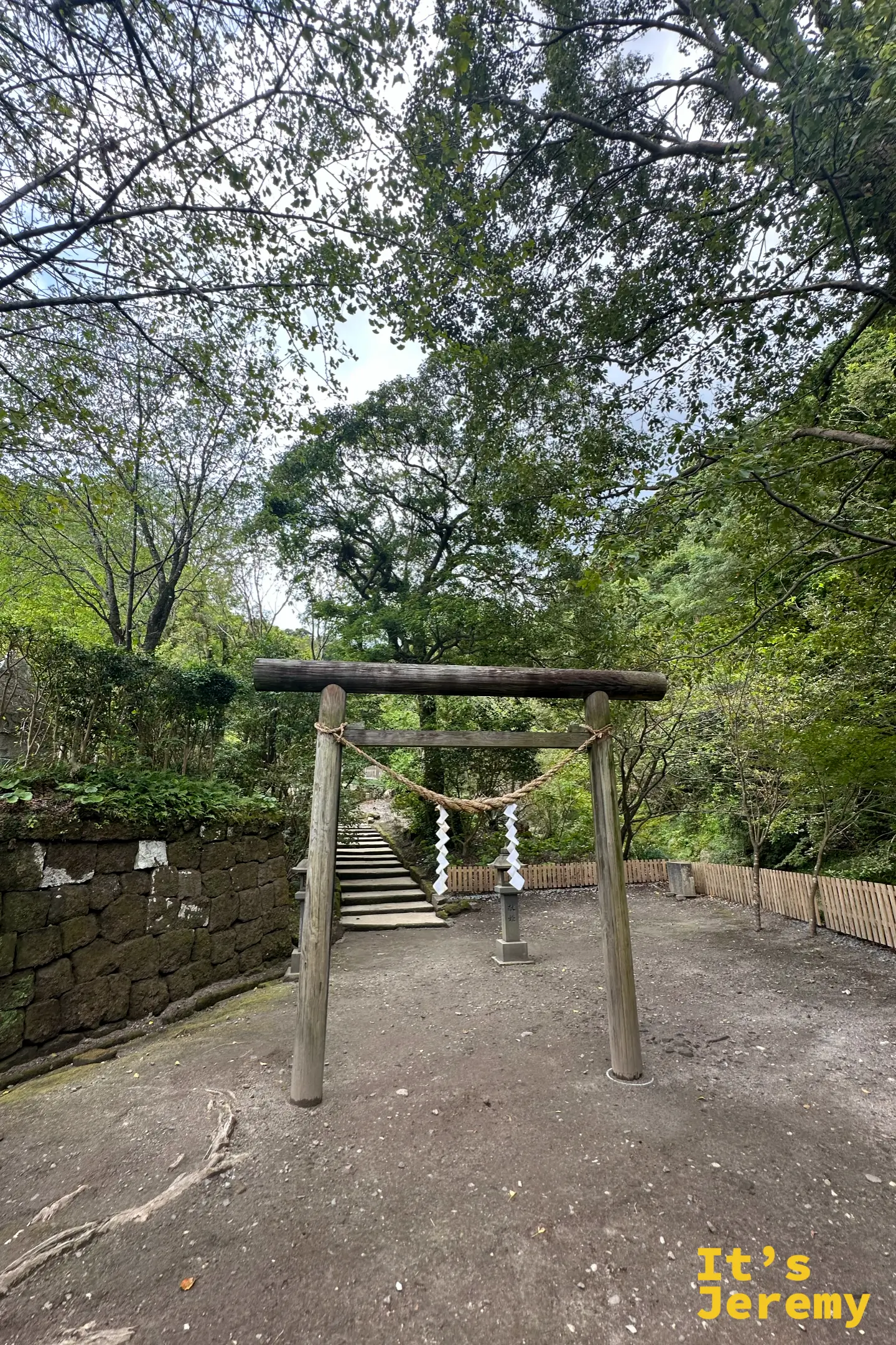 通往猫神神社的木造鳥居，掛著注連繩，後方石階沒入樹林