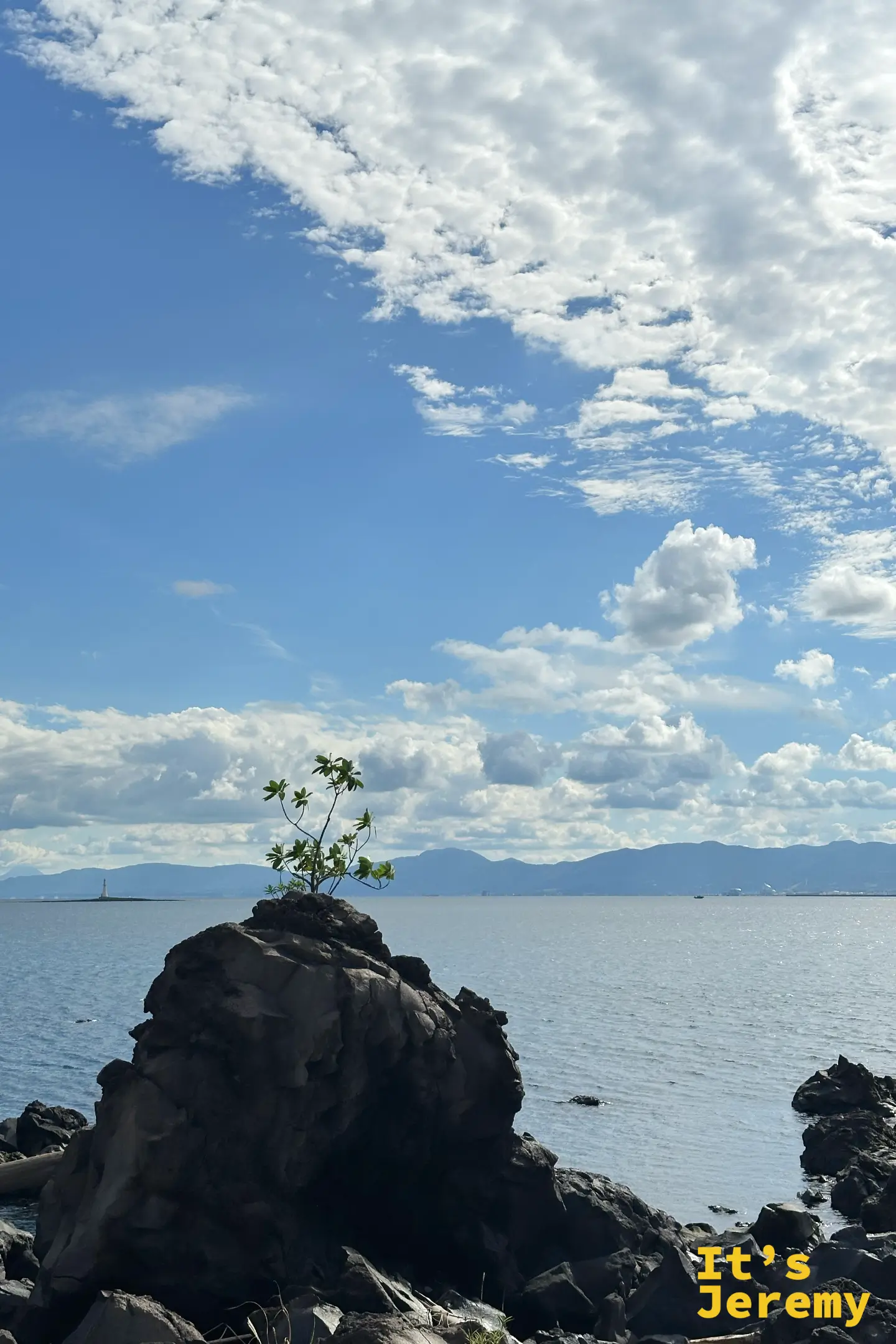 一塊熔岩巨石頂上長出一株小樹，後方是平靜的海灣與遠處的燈塔