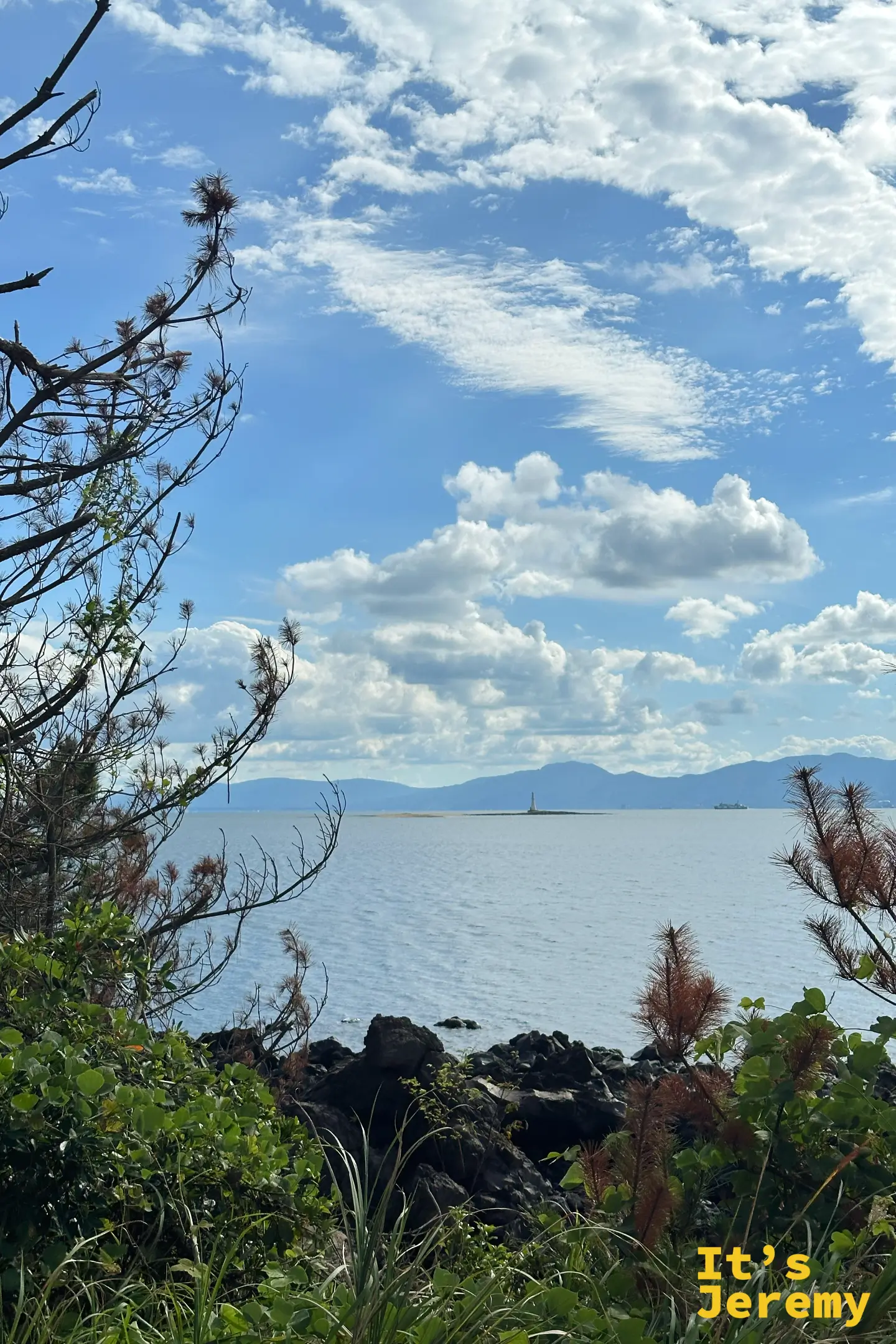 透過松枝望向錦江灣，海面上有一座立著燈塔的沙洲，遠方山巒連綿