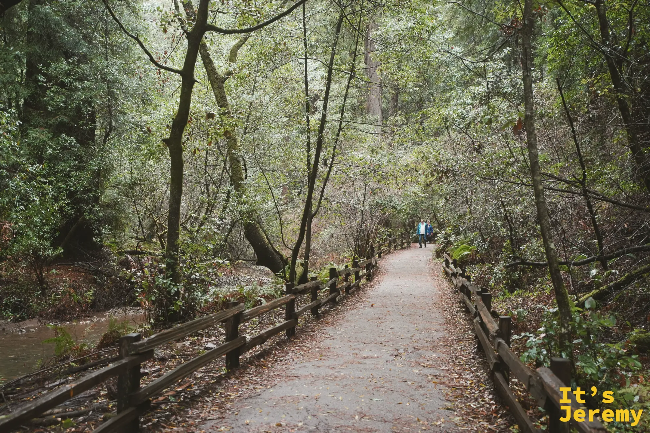 碎石步道兩旁架著木柵欄，兩位穿藍衣的遊客迎面走來，冬季的禿枝與常綠交錯
