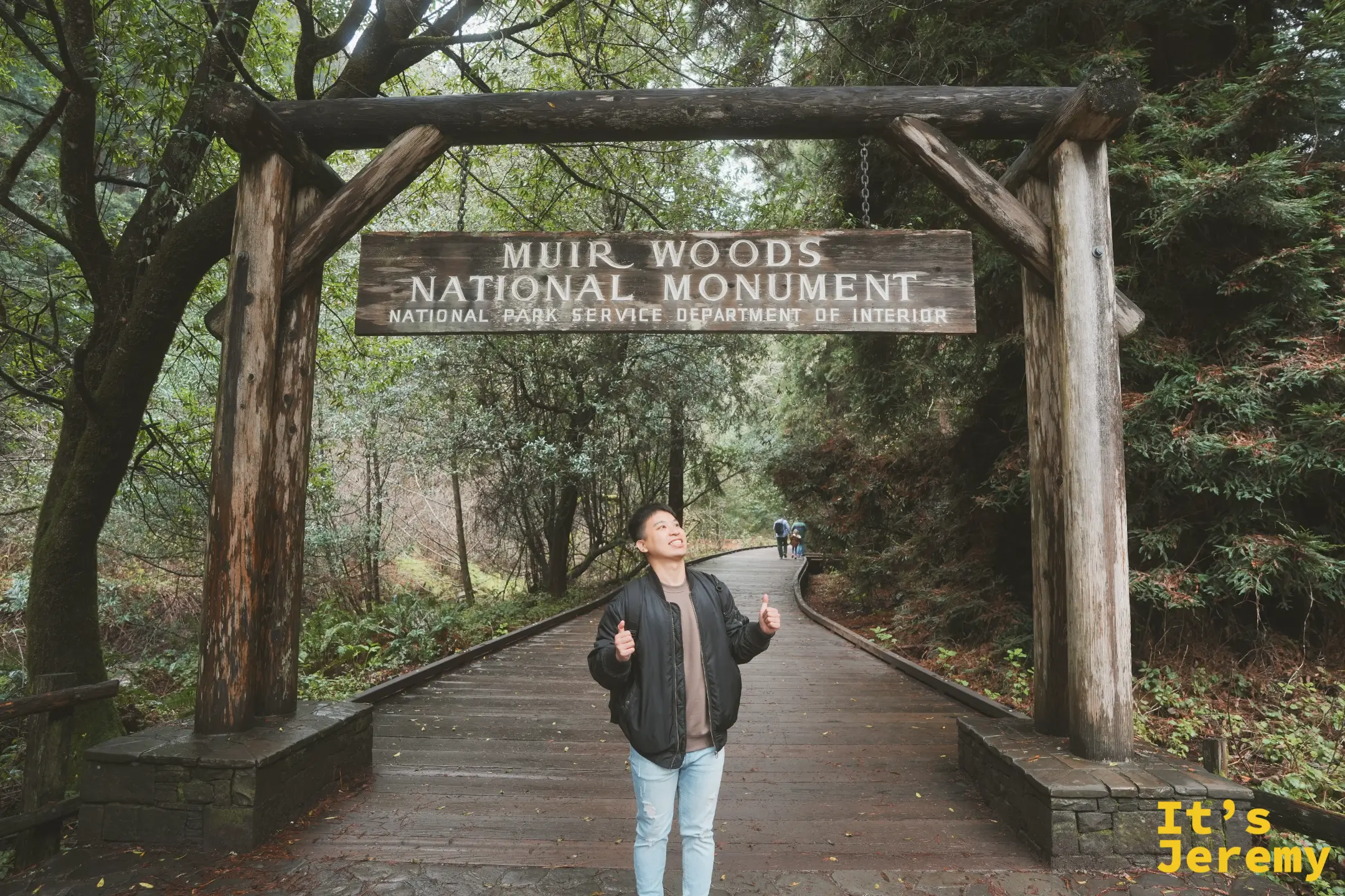 🇺🇸 加州景點｜謬爾紅木森林 Muir Woods：走進舊金山近郊的千年紅木教堂