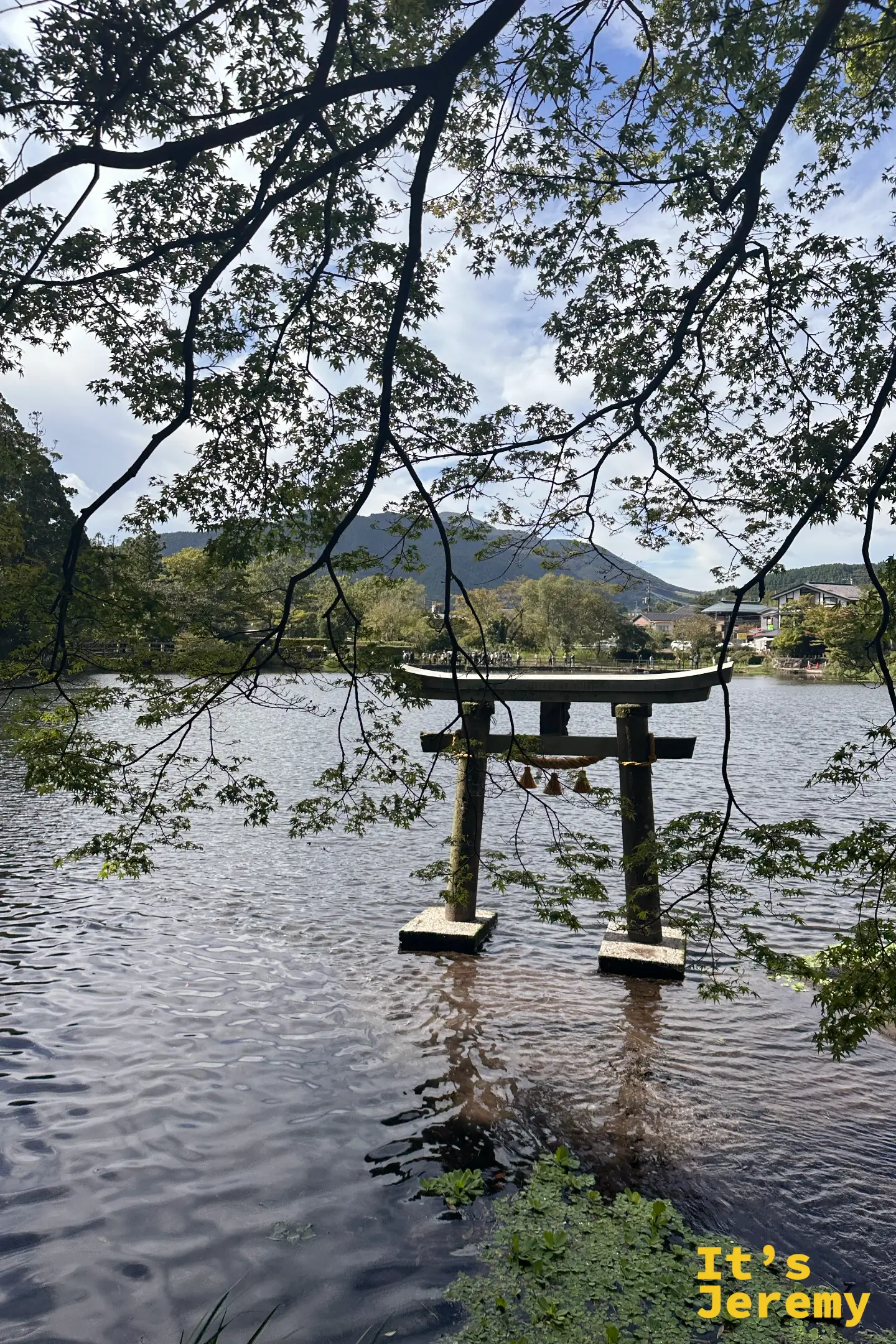 透過樹枝望向水中石鳥居，對岸有遊客沿木橋而行
