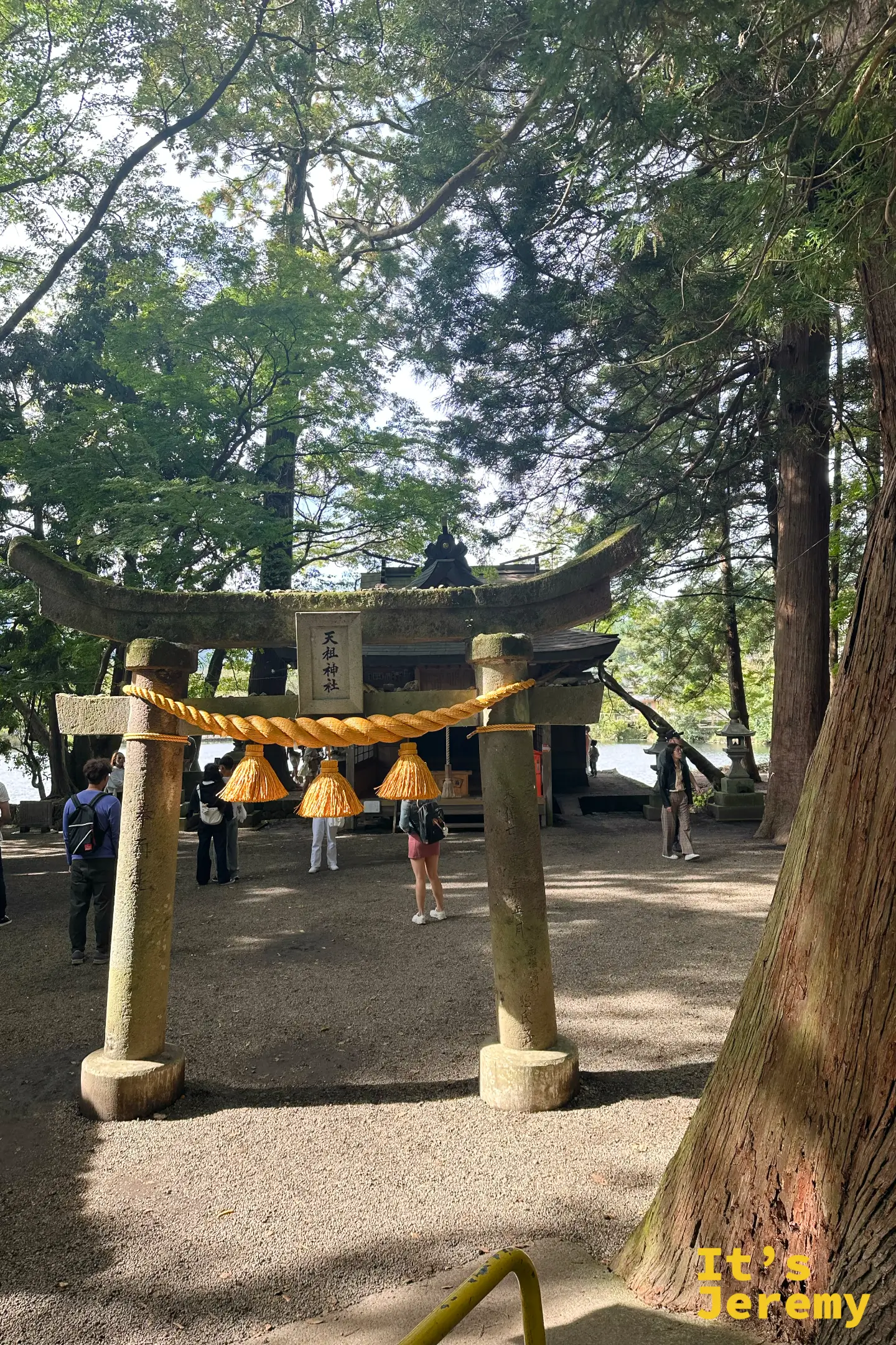 天祖神社石鳥居正面，後方為木造社殿與大杉樹幹