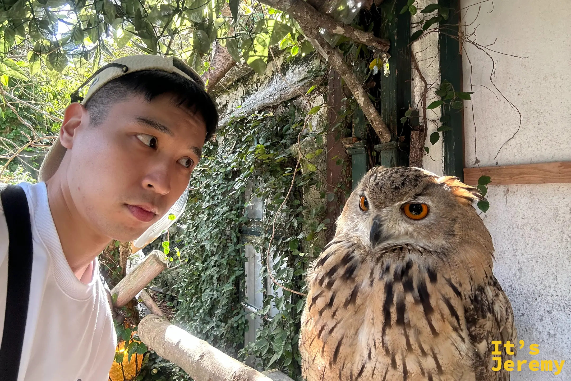 Jeremy 與歐亞雕鴞的合照，雕鴞橙眼睜大盯著鏡頭