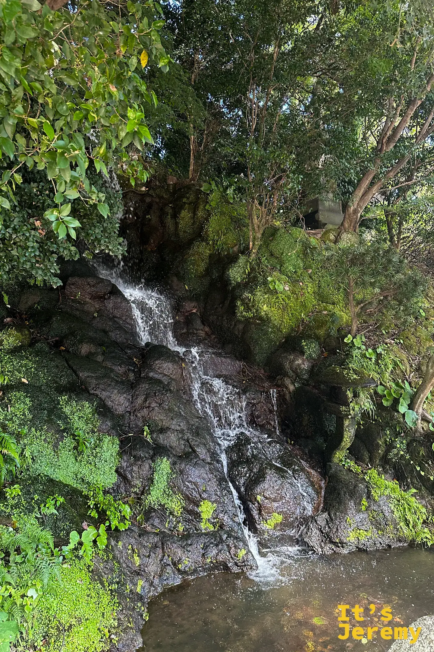 園區山邊的小瀑布，清水從長滿青苔的岩石上流下，四周是蕨類與綠意