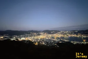 稲佐山俯瞰長崎完整夜景，港灣、市街與遠山連成一片光海