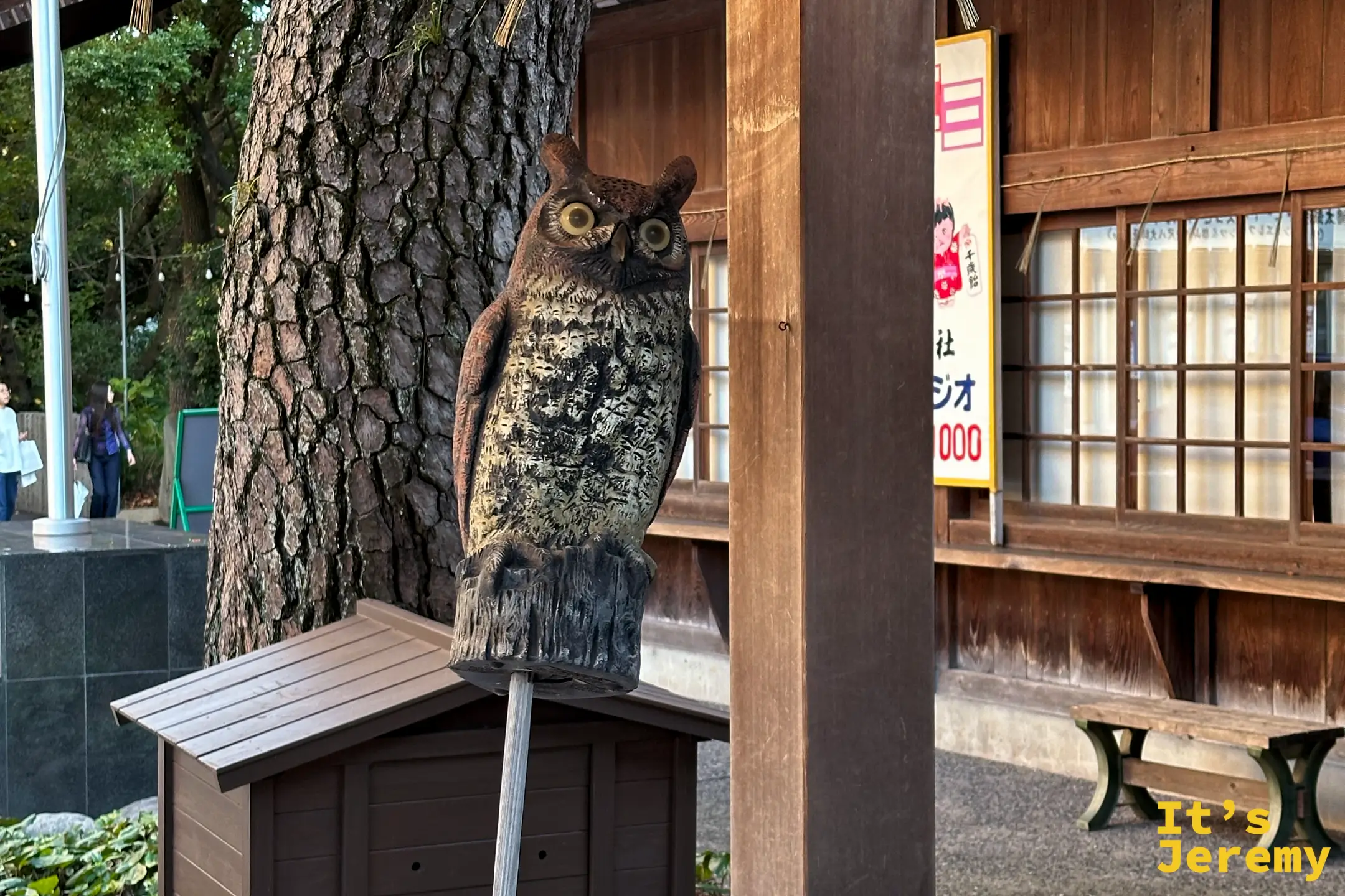 北九州小倉八阪神社手水舍中央醒目的貓頭鷹裝飾特寫，象徵不苦勞與智慧