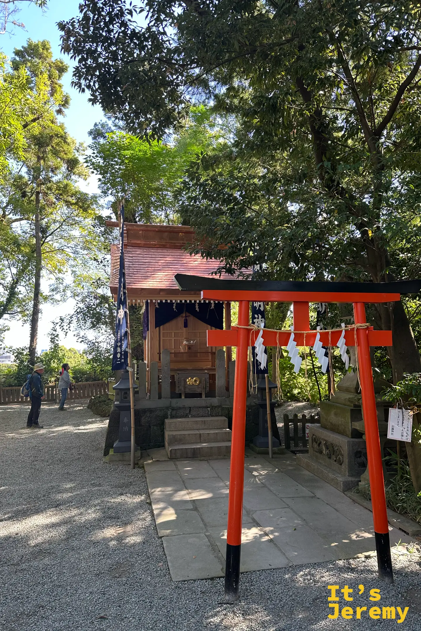 白鬚神社直拍視角,朱紅鳥居與後方綠蔭對比