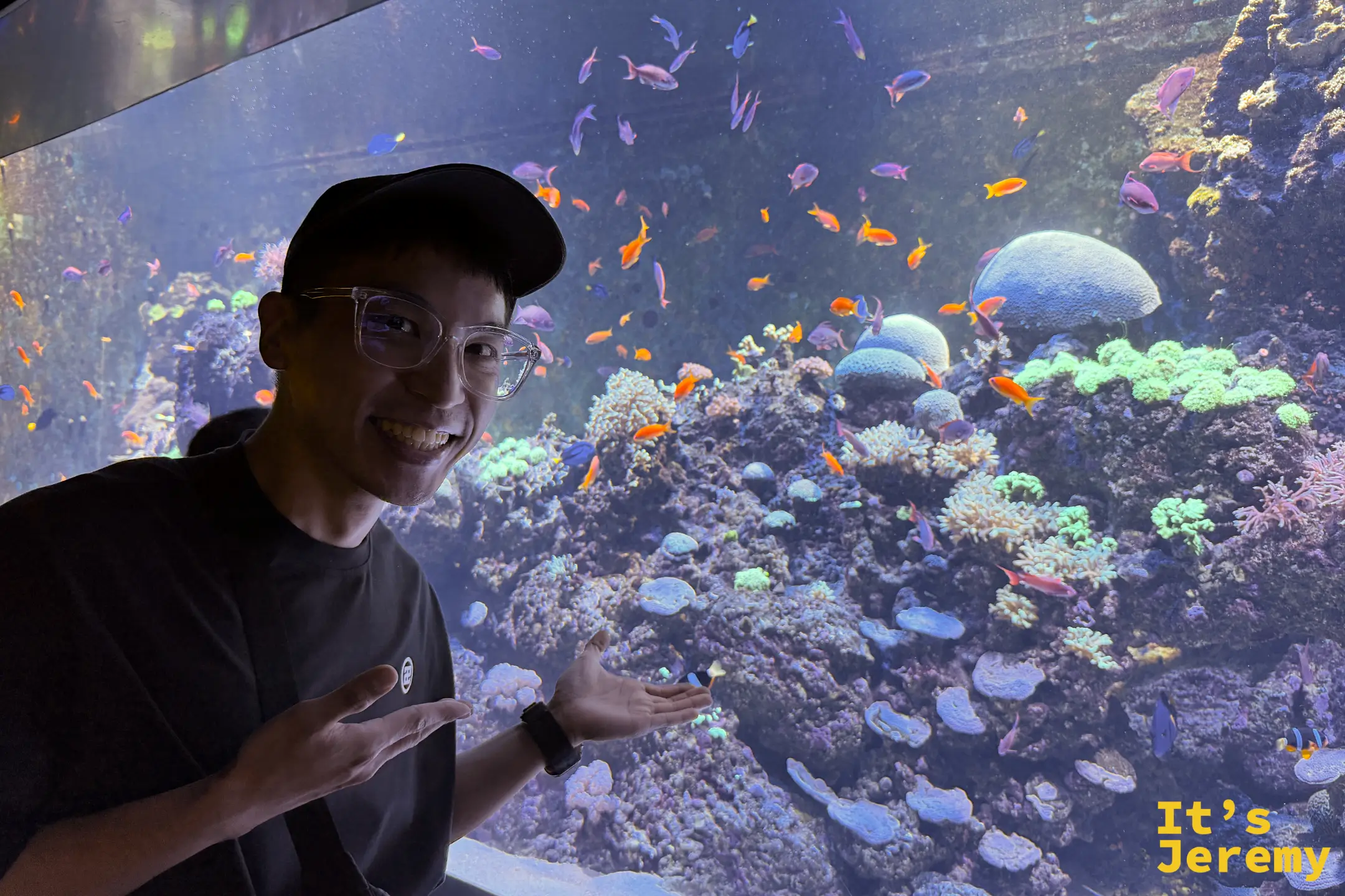 🇸🇬 聖淘沙景點｜S.E.A. 海洋館 S.E.A. Aquarium：改建為新加坡海洋館前的最後紀錄